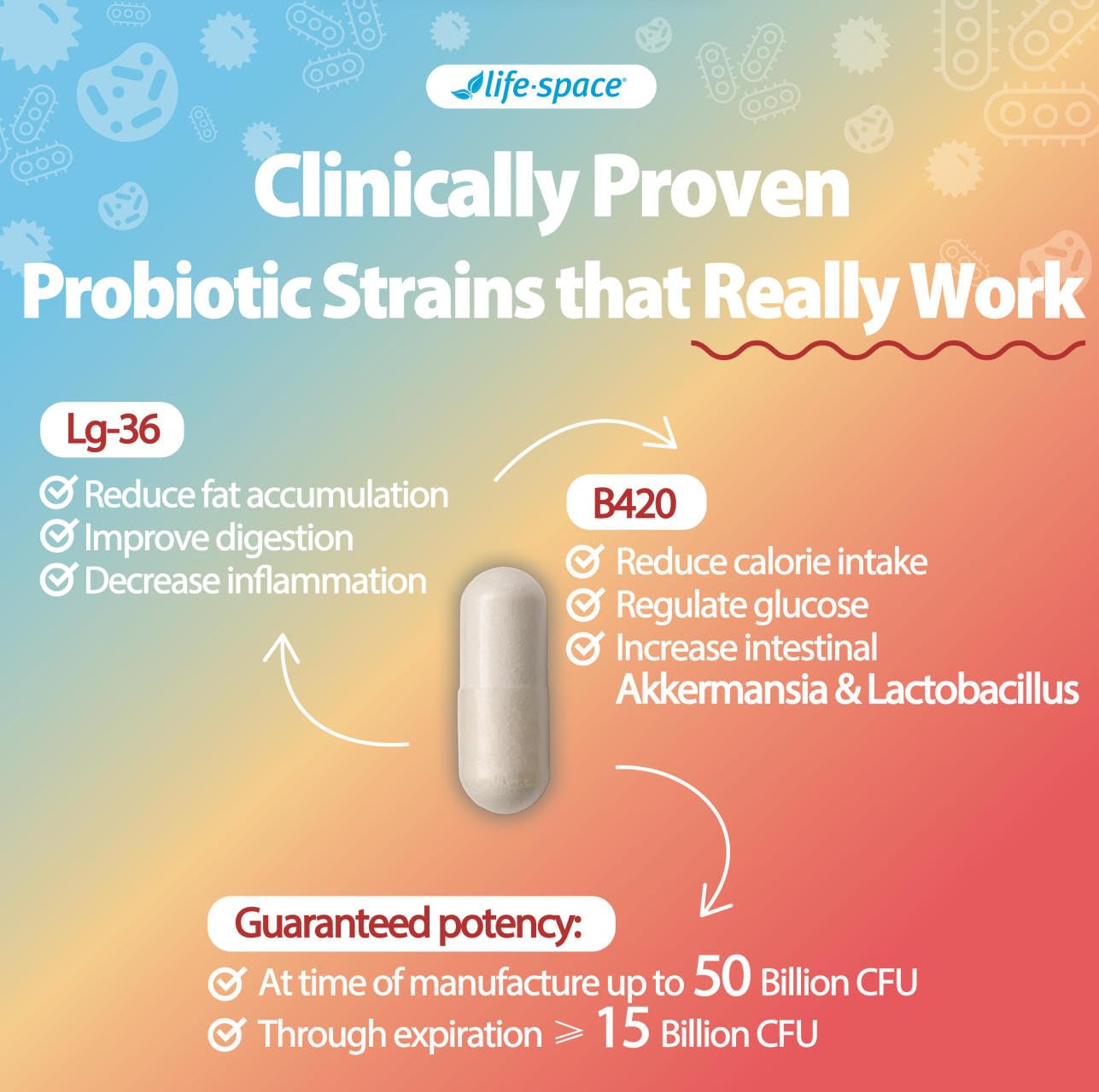 Life-Space Shape B420 Probiotics for Shape Better, Boost, Clinically Backed Metabolism Support, Prebiotic + Probiotics for Women and Men Life-Space buy supplements canada