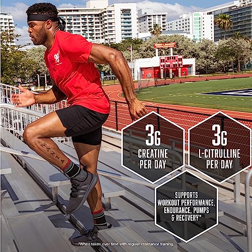 BSN NITRIX 2.0 - Nitric Oxide Precursors, 3g Creatine, 3g L Citrulline - Supports Workout BSN buy supplements canada
