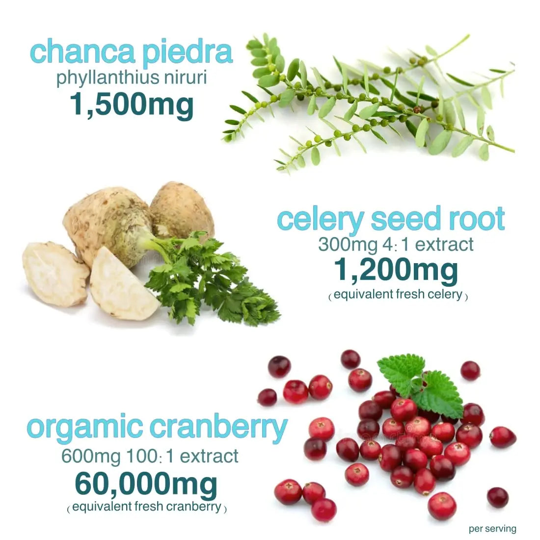 Holistic MD Stone Breaker Chanca Piedra 1,500mg Gummies Kidney Stones Cleanse Gallbladder Formula | Plus Cranberry Extract Might Help Urinary Tract Flush Impurities | Fast Absorption Sugar Free 60ct Holistic MD buy supplements canada