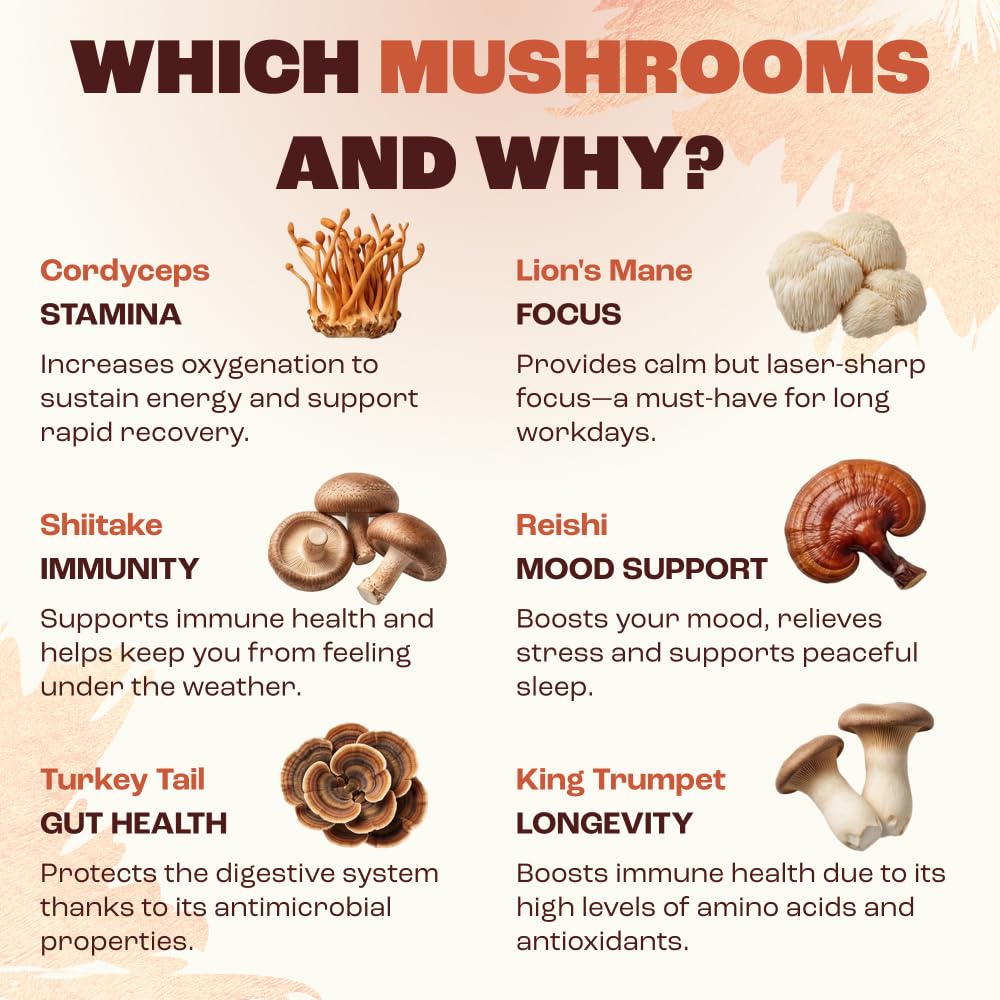 RYZE SUPERFOODS Mushroom Medium Roast Coffee USDA Organic with 6 Adaptogenic Mushrooms, USA Grown Instant Coffee for Better Energy RYZE SUPERFOODS buy supplements canada