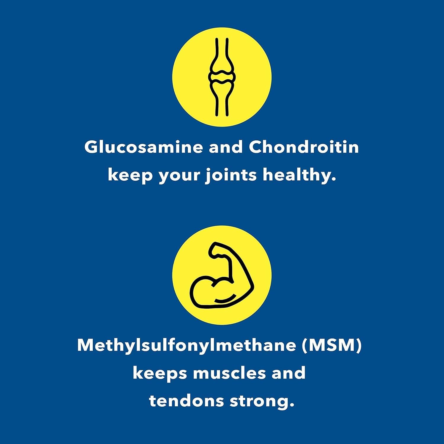 Healthy Joints System Glucosamine Chondroitin MSM Supplement for Joint & Bone Health - 120 Capsules | Joint Support & Discomfort Relief for Back, Knees, Hands Healthy Joints System buy supplements canada