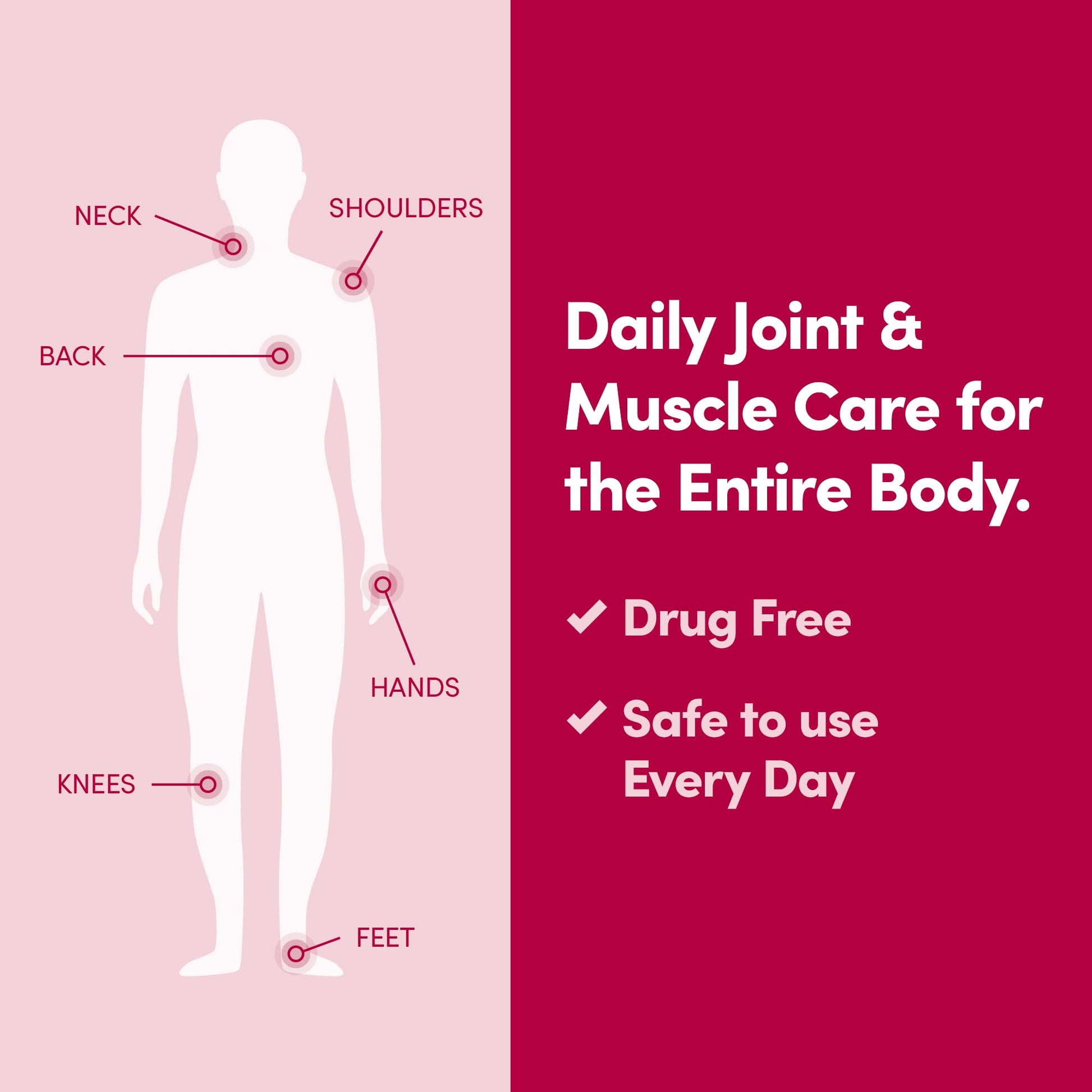 Penetrex Daily Joint & Muscle Care Cream – Soothing Botanical Formula with Arnica, Vitamin B6 & MSM – Lightweight Fast-Absorbing Cream for Everyday Movement - Non-Greasy - Light Scent- 2 oz Penetrex buy supplements canada