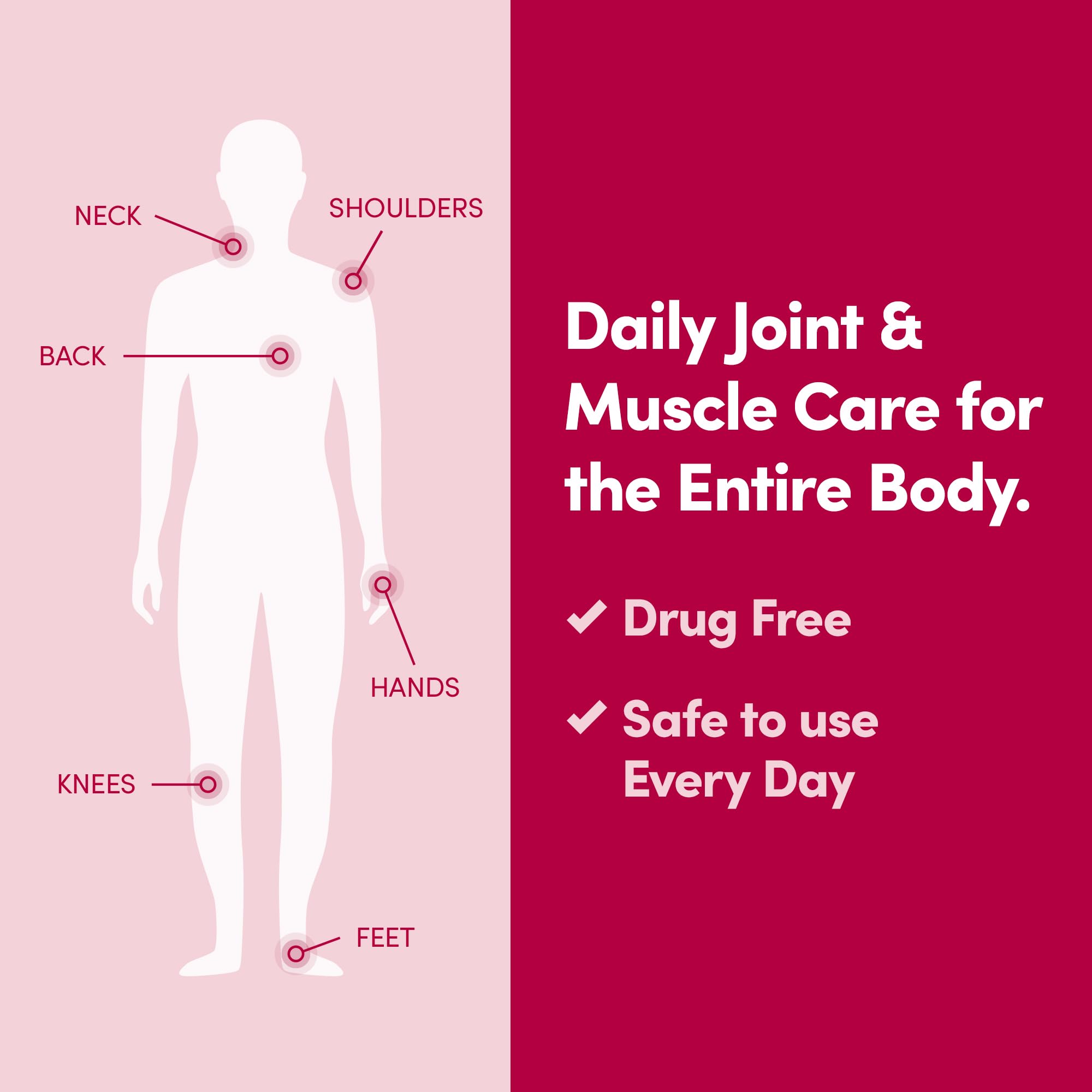 Penetrex Daily Joint & Muscle Care Cream – Soothing Botanical Formula with Arnica, Vitamin B6 & MSM – Lightweight Fast-Absorbing Cream for Everyday Movement - Non-Greasy - Light Scent- 2 oz Penetrex buy supplements canada