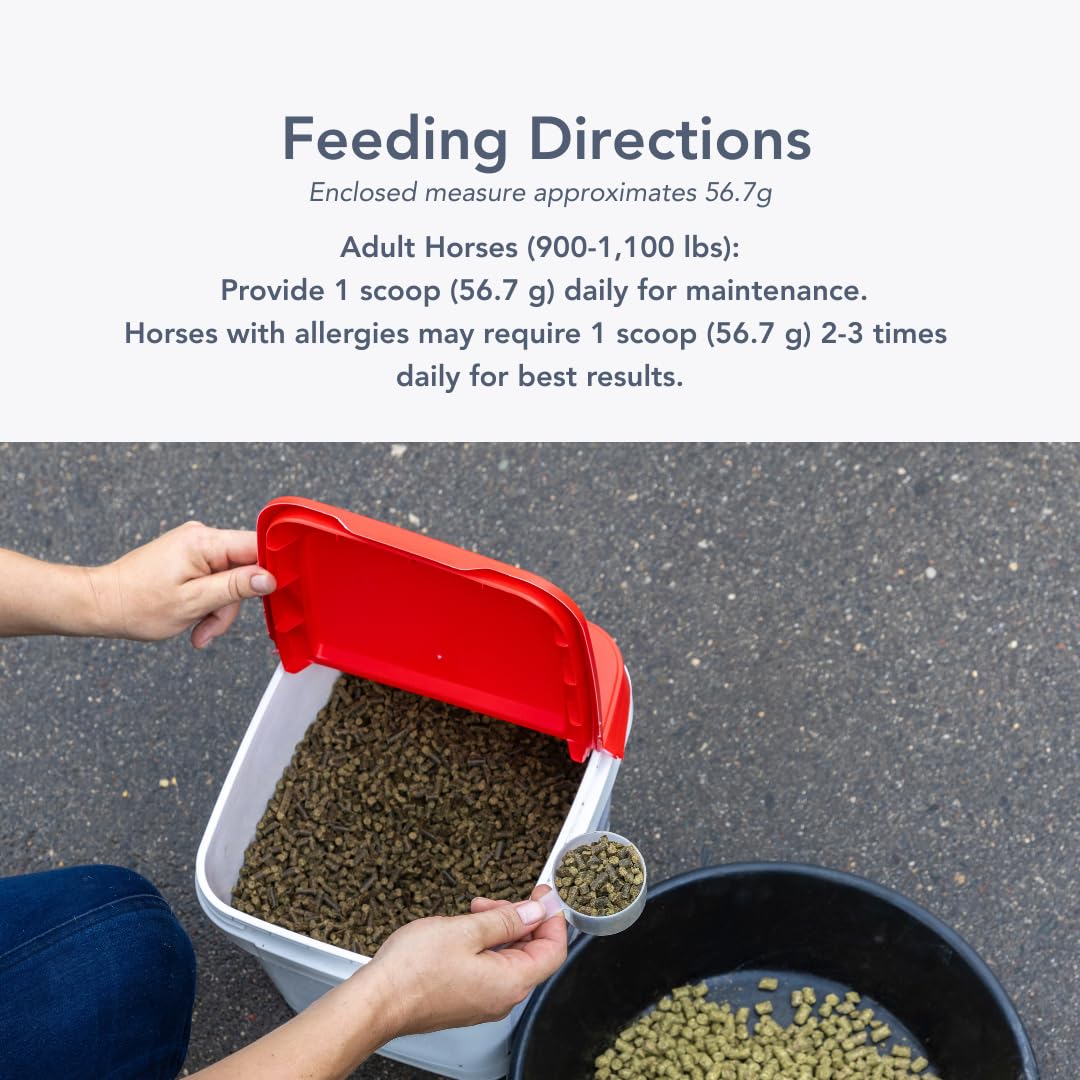 MVP Air-Way EQ Supports Healthy Lung Function and Seasonal Allergy Support in Horses, 5lb - 40 Servings MVP buy supplements canada