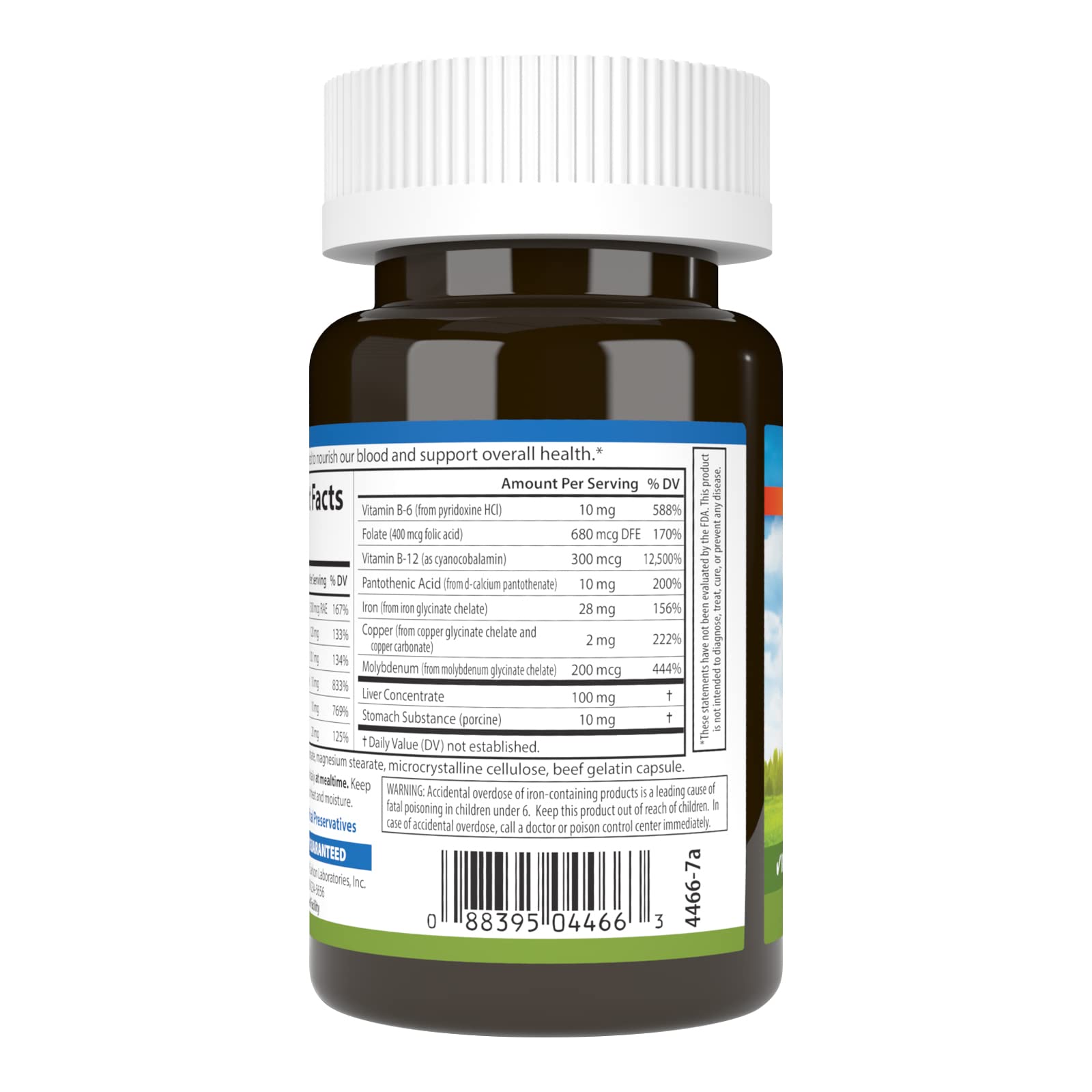 Carlson - Blood Nutrients, 28 mg Iron, Blood Development, Iron Absorption & Optimal Wellness, 40 Capsules Carlson buy supplements canada