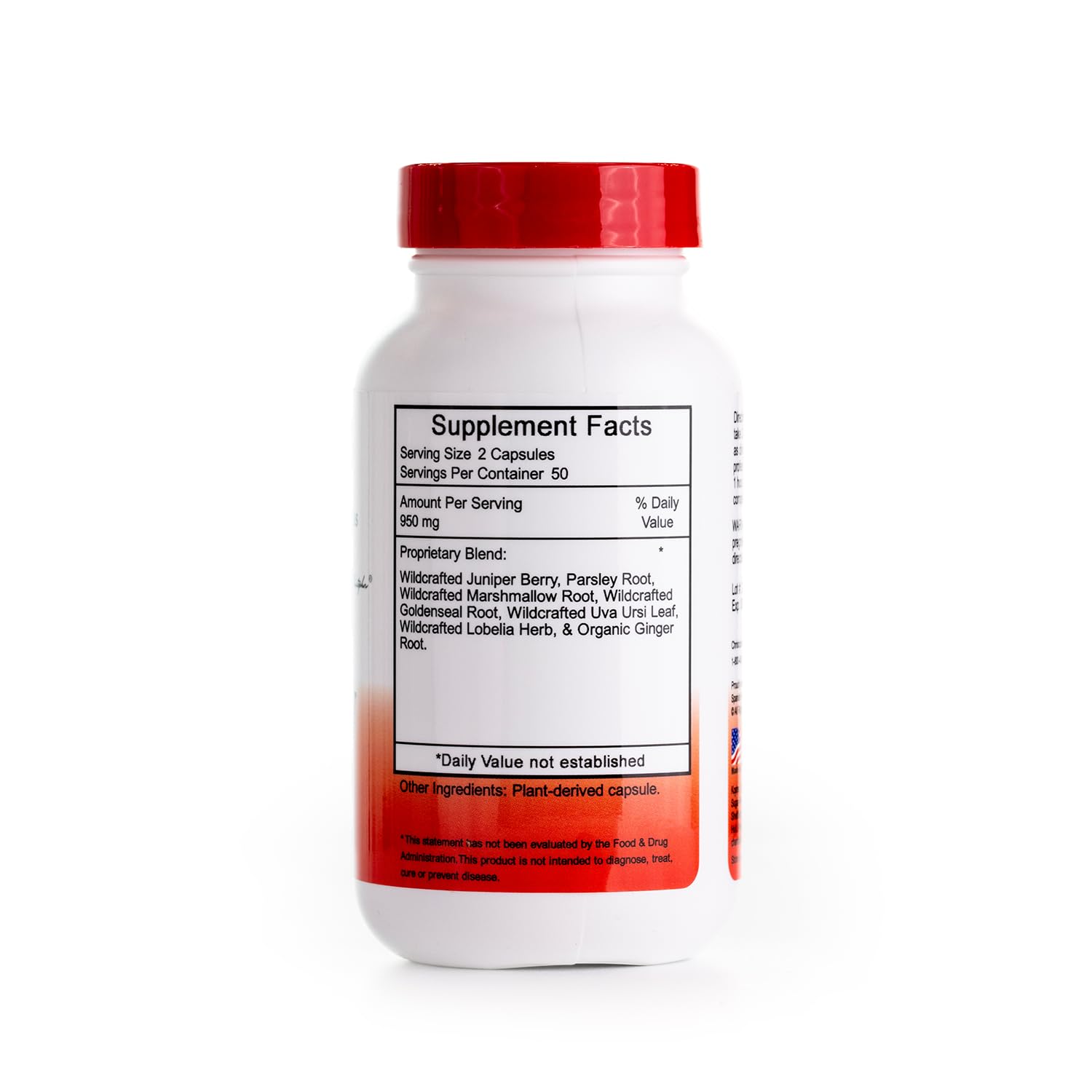 Christopher's Original Formulas Kidney Formula - Kidney Cleanse Detox & Repair Formula - Herbal Blend for Kidney Support Christopher's Original Formulas buy supplements canada