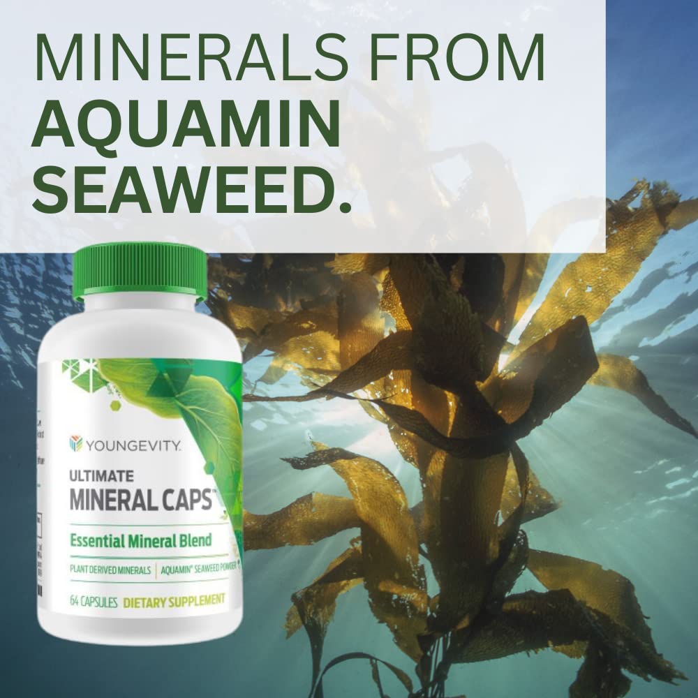 Youngevity Ultimate Mineral Caps™ - 70+ Essential Full Spectrum Trace Minerals - Nutrient-Dense, Derived from Humic & Aquamin Seaweed (64 Capsule) Youngevity buy supplements canada