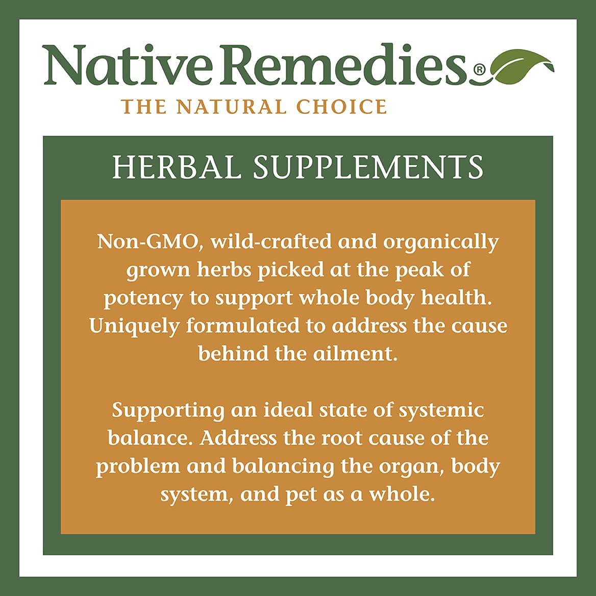 Native Remedies Inflam Dr. - All Natural Herbal Supplement Promotes Healthy Inflammation Response - Helps Fight Oxidative Stress to Cells - 60 Veggie Caps Native Remedies buy supplements canada