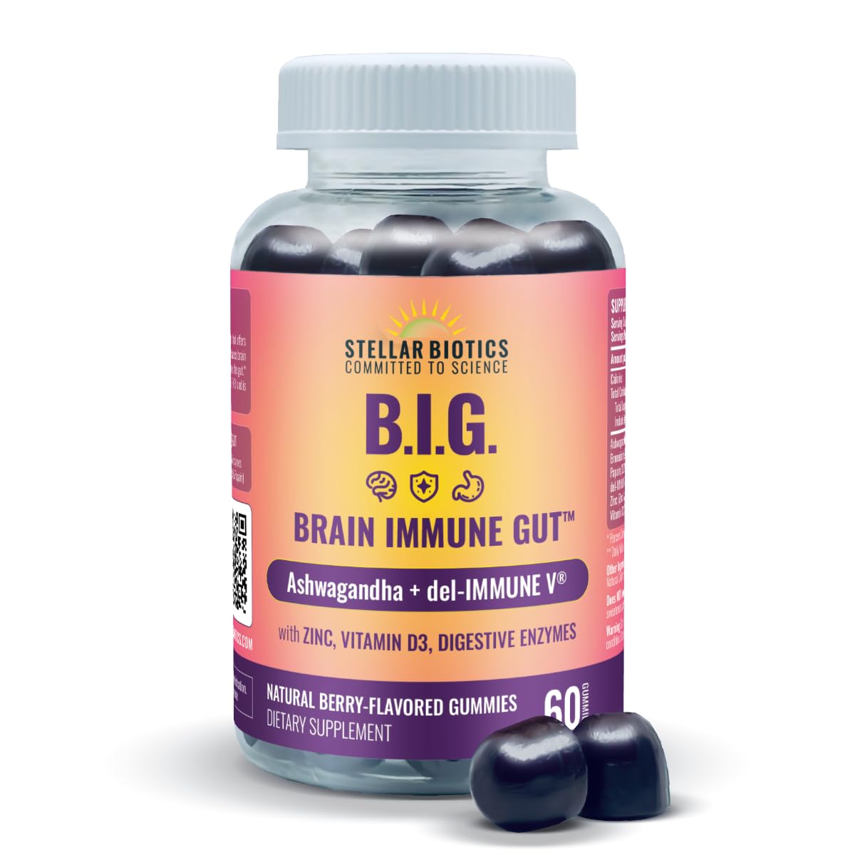 Del-Immune V + Ashwagandha - Brain Immune Gut™ (B.I.G.) Gummy - All Natural Immune & Gut Support with Zinc, Vitamin D3 + Digestive Enzymes (60 Gummies) Del-Immune V buy supplements canada