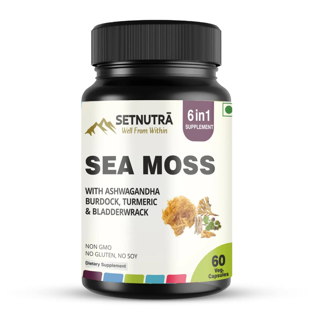SETNUTRA Well From Within Sea Moss 6 in 1 Super Blend Ashwagandha Burdock Turmeric & Bladderwrack Immunity & Detox Support 60 Veg Capsules Non GMO No Gluten SETNUTRA Well From Within buy supplements canada