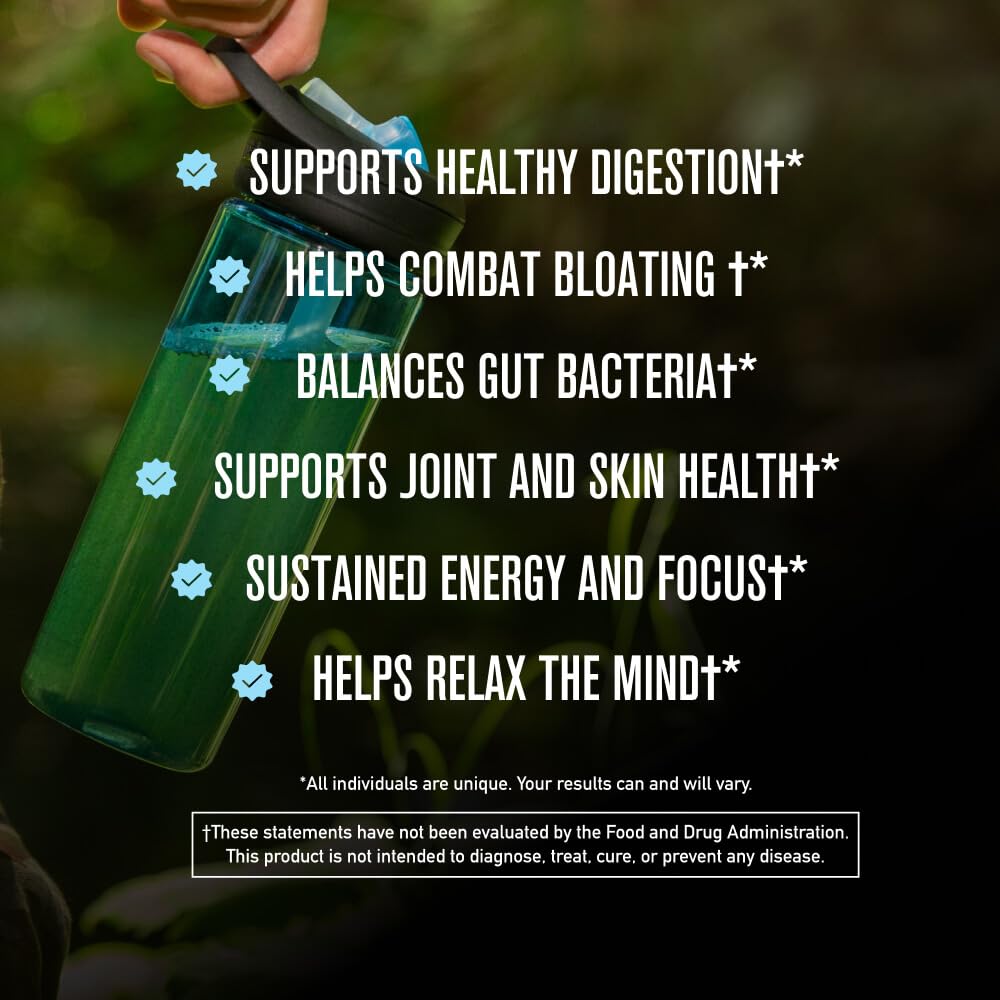 ROUNDHOUSE PROVISION Morning Kick, Greens Superfood Powder Supplement with Ashwagandha, Collagen & Probiotics - Sugar Free, Caffeine Free (3 Pack, Strawberry Lemonade Flavor) by Chuck Norris ROUNDHOUSE PROVISION buy supplements canada
