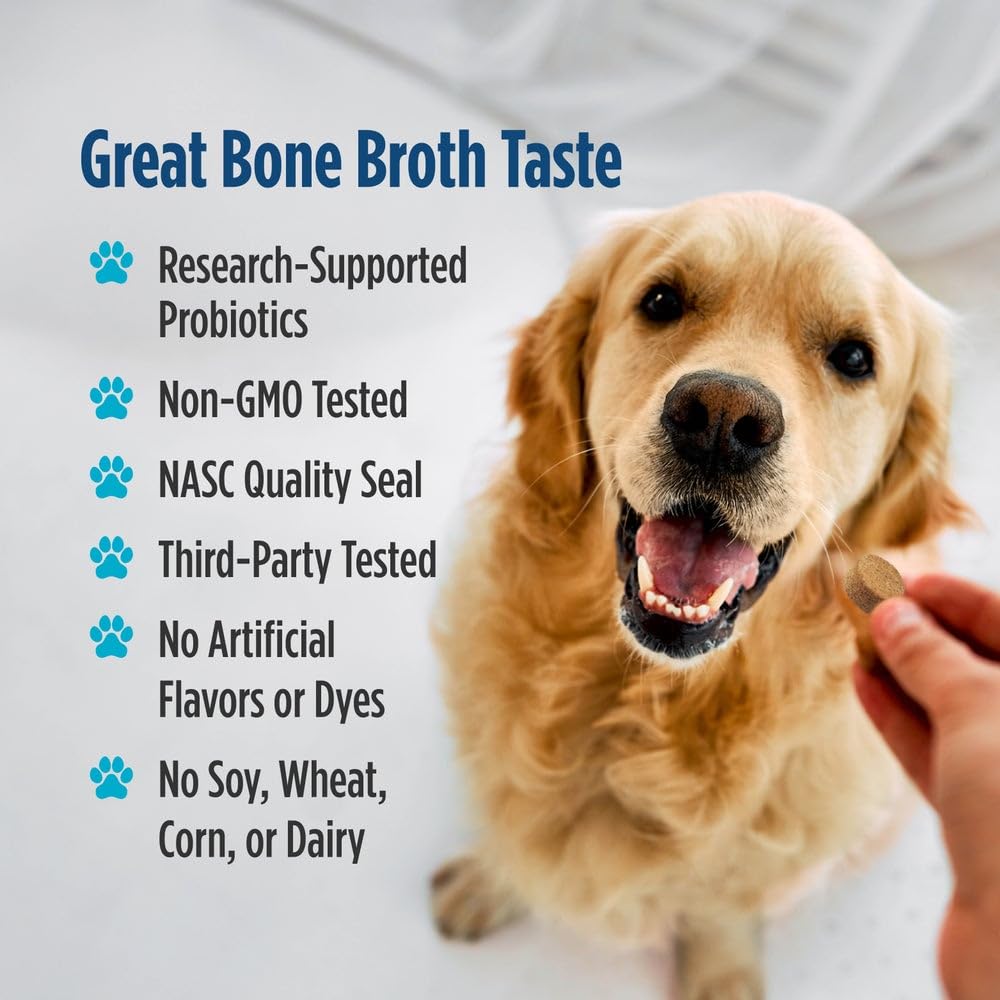 Nordic Naturals Pet Digestive Support with Probiotics, Pork Bone Broth Flavor - 30 Soft Chews - Nutritional Supplement for a Healthy Digestive System and GI Support - 30 Non-GMO Chews Nordic Naturals buy supplements canada