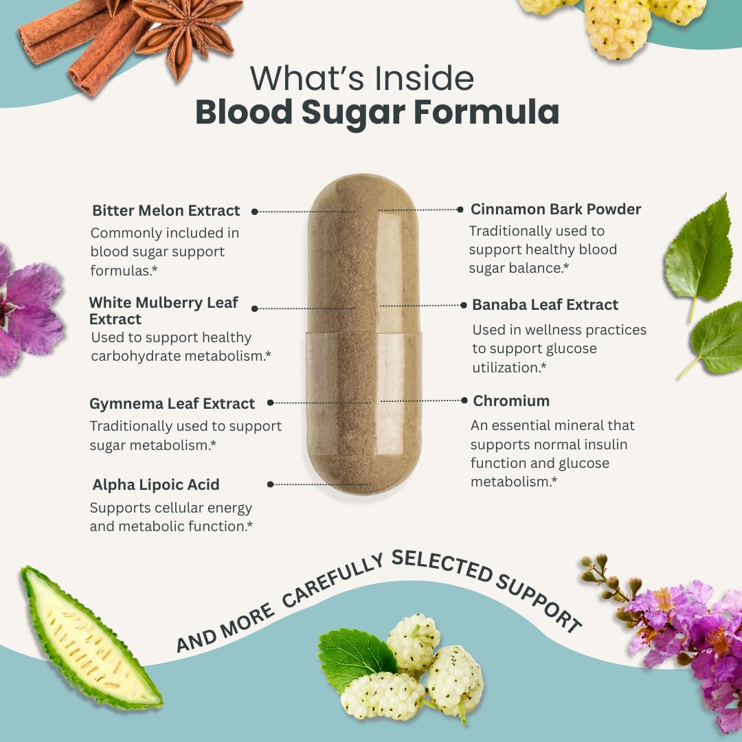 Naturonel Blood Sugar Formula – Metabolic Support with Cinnamon, Banaba, Bitter Melon, Guggul, Licorice, Gymnema, Juniper, Alpha Lipoic Acid & Chromium | Made in USA, GMP Certified Naturonel buy supplements canada