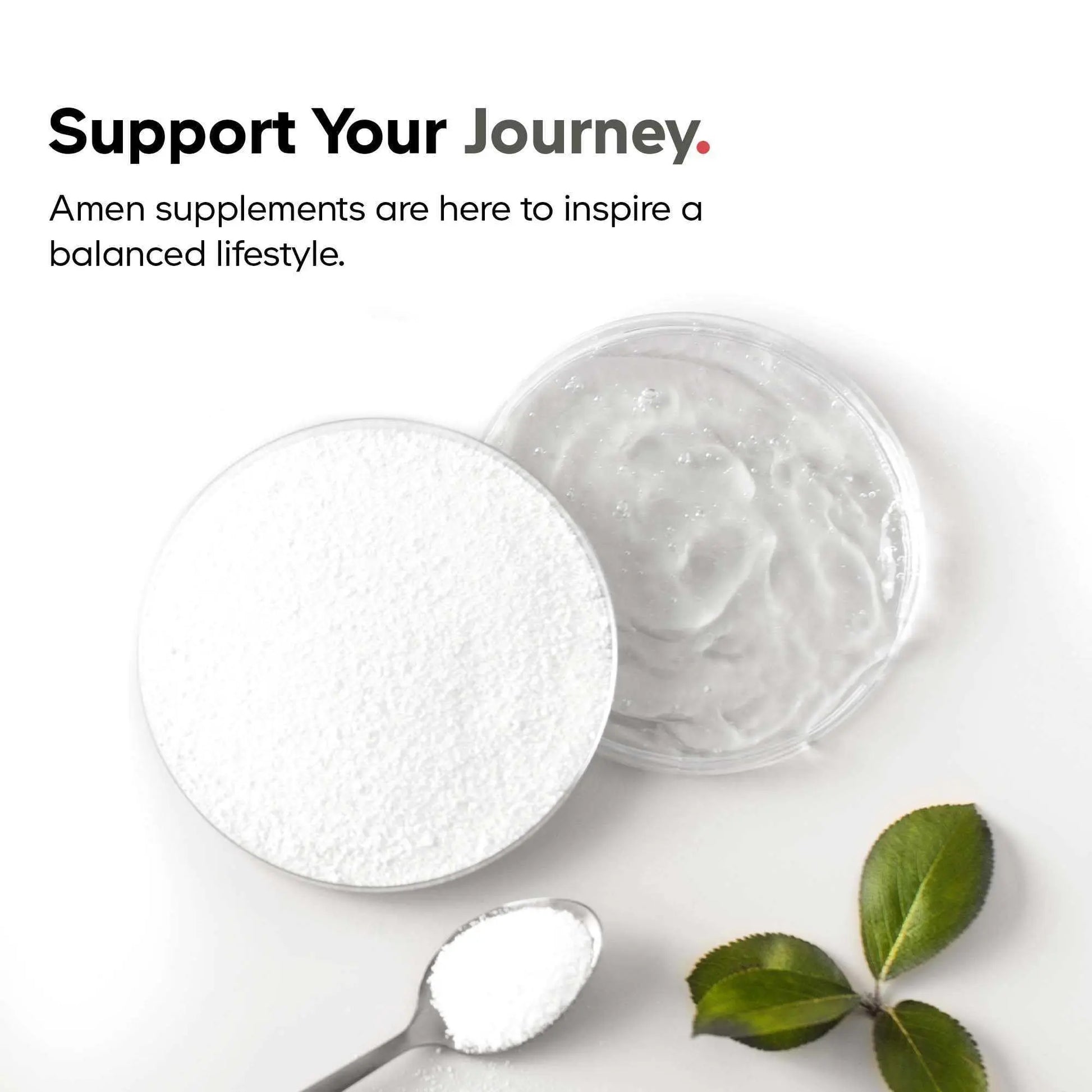 Amen Sea Moss Supplement - 1000mg Organic Irish Sea Moss, Bladderwrack, Burdock - Vitamin C, Aloe Vera, Black Pepper - Seaweed Superfood, Vitamins, Minerals, and Antioxidants - Non-GMO - 90 Capsules Amen buy supplements canada