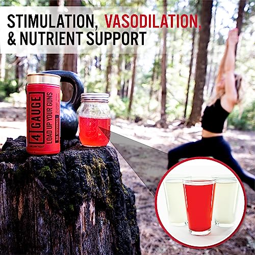 4 Gauge Natural Preworkout Without The Jitters | 30 Servings | Nitric Oxide Booster 4 Gauge buy supplements canada
