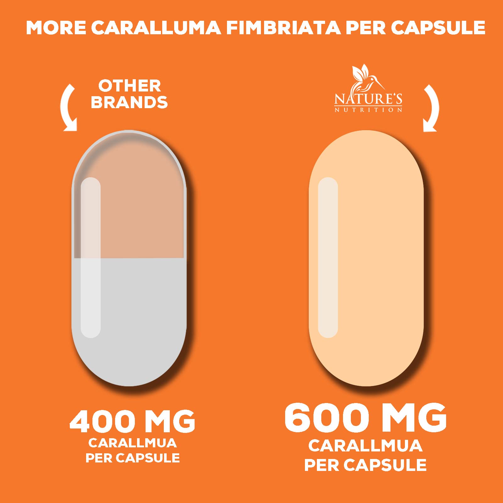 Pure Caralluma Fimbriata Extract Highly Concentrated 1200mg - Natural Endurance Support Nature's Nutrition buy supplements canada