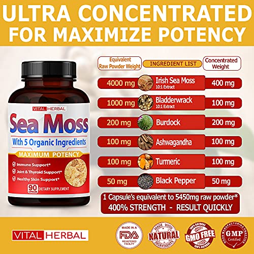 VITAL HERBAL Irish Sea Moss Capsules Equivalent to 5450mg - Maximum Potency VITAL HERBAL buy supplements canada