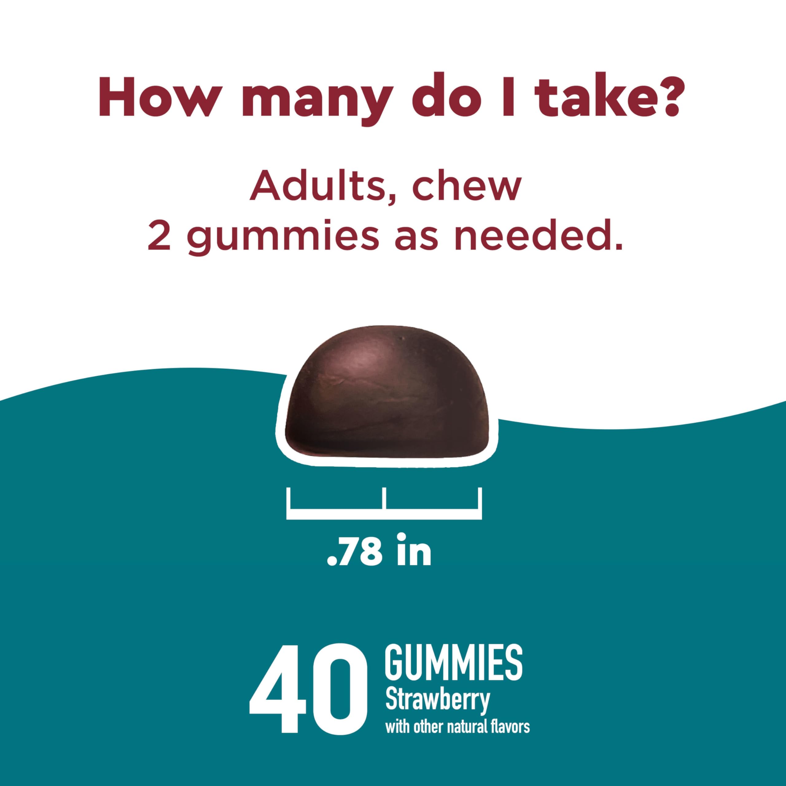 Nature Made Wellblends Stress Relief Gummies, L theanine 200mg to Help Reduce Stress, with GABA 100mg, Same Day Stress Support, 40 Strawberry Flavor Gummies Nature Made buy supplements canada