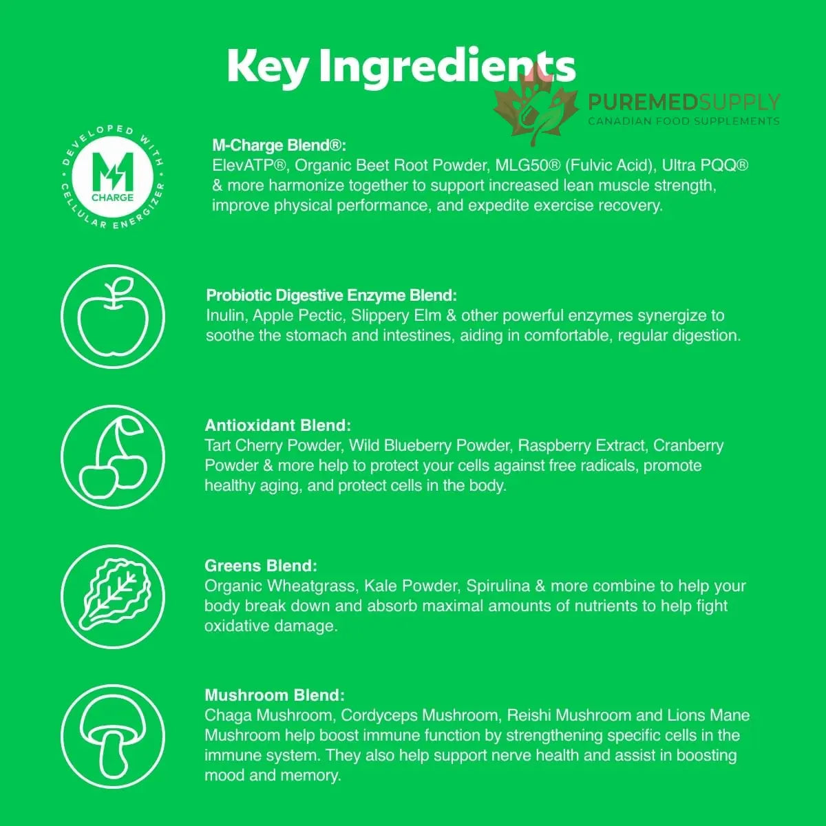 L'Evate You Vitality Daily Greens Powder (28 Servings) 30 Superfoods, 9 Greens - for a Cellular Energy Boost, Powered by M-Charge Complex for All Day Energy (Original) Steve Harvey's L'Evate You buy supplements canada