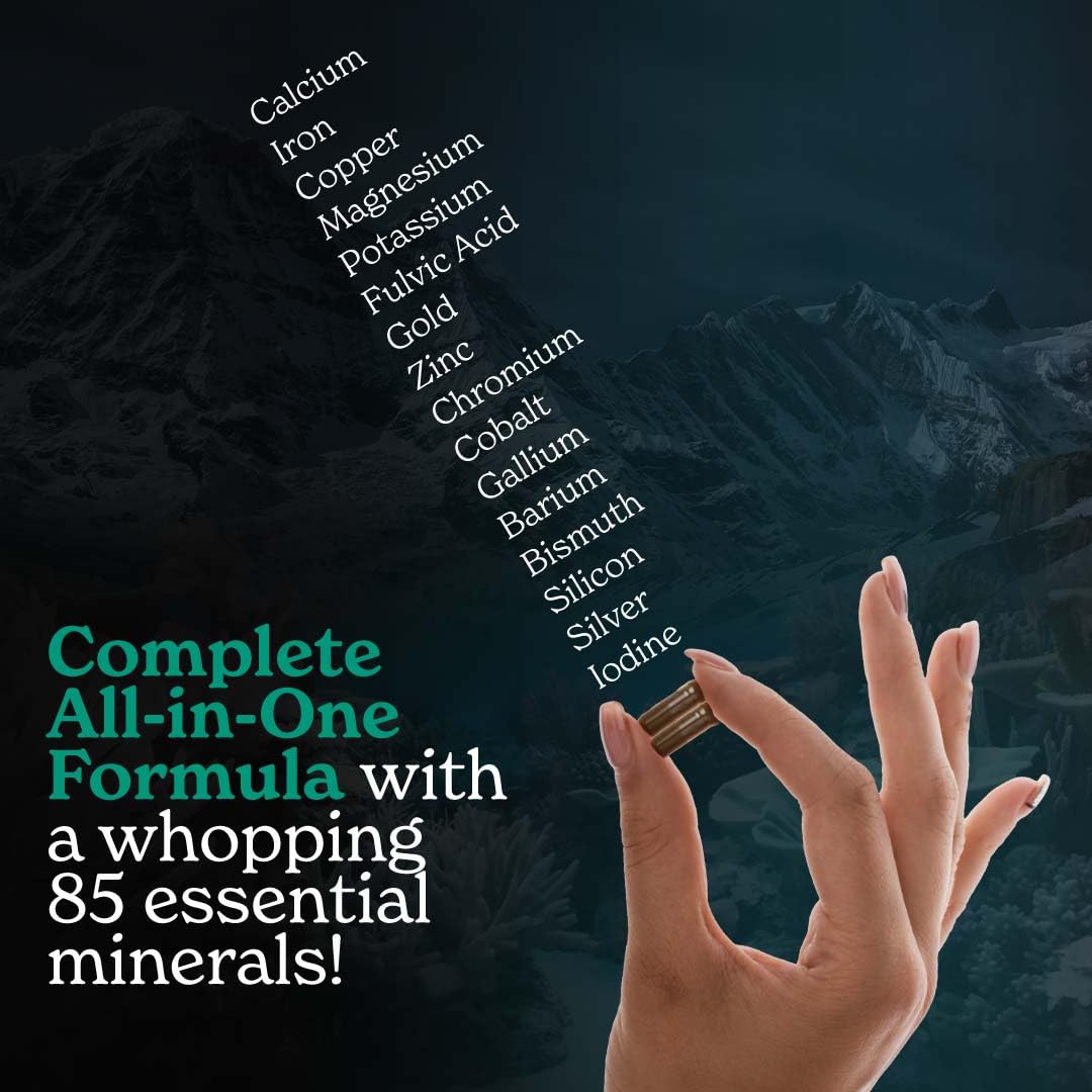 Better Alt Shilajit Sea Moss Capsules Pack of 2 with Ashwagandha & Black Pepper Extract with 85+ Essential Minerals & Antioxidants| Boosts Energy & Metabolism - 120 Servings, 240 Capsules Better Alt buy supplements canada