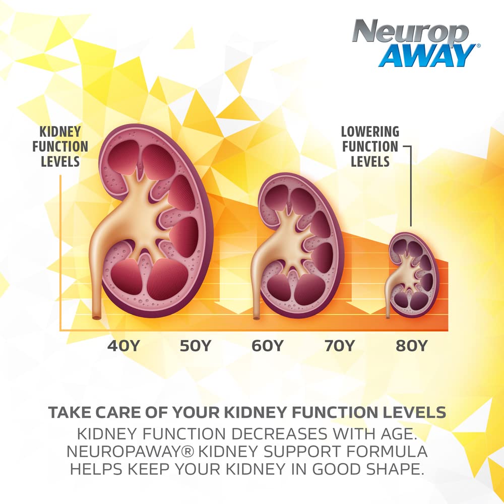 NeuropAWAY Kidney Support Formula Sugar Free with Agmatine Sulfate 500mg L-Novaline 50mg L-Ornithine 150mg L-Citrulline 100mg Per Capsule 90CT Fast Acting Kidney Support NeuropAWAY buy supplements canada