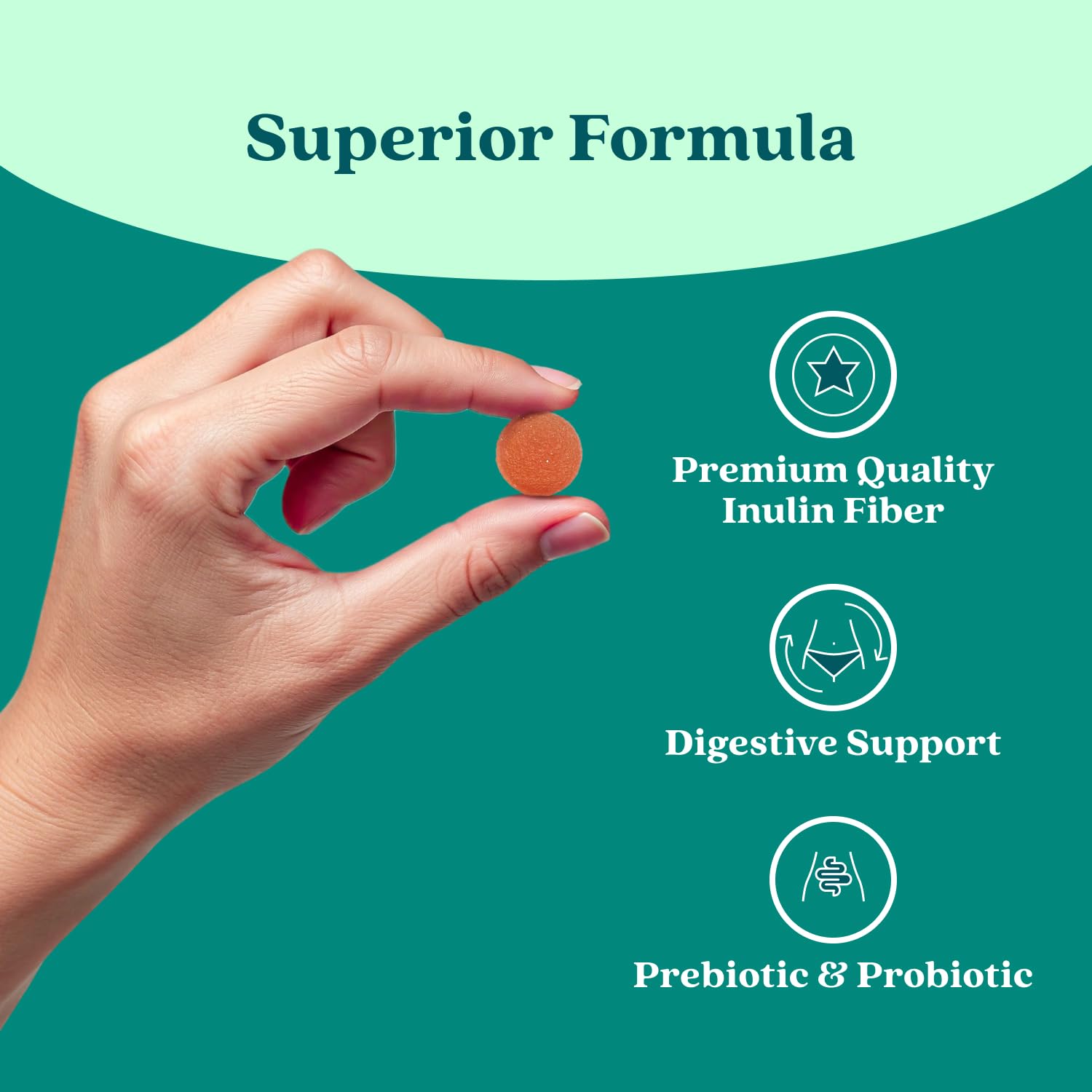 BeLive Synbiotics - Probiotic & Prebiotic Fiber Gummies – High Strength Inulin (3g), Dietary Fiber Supplement, Digestive Support for Kids & Adults BeLive buy supplements canada