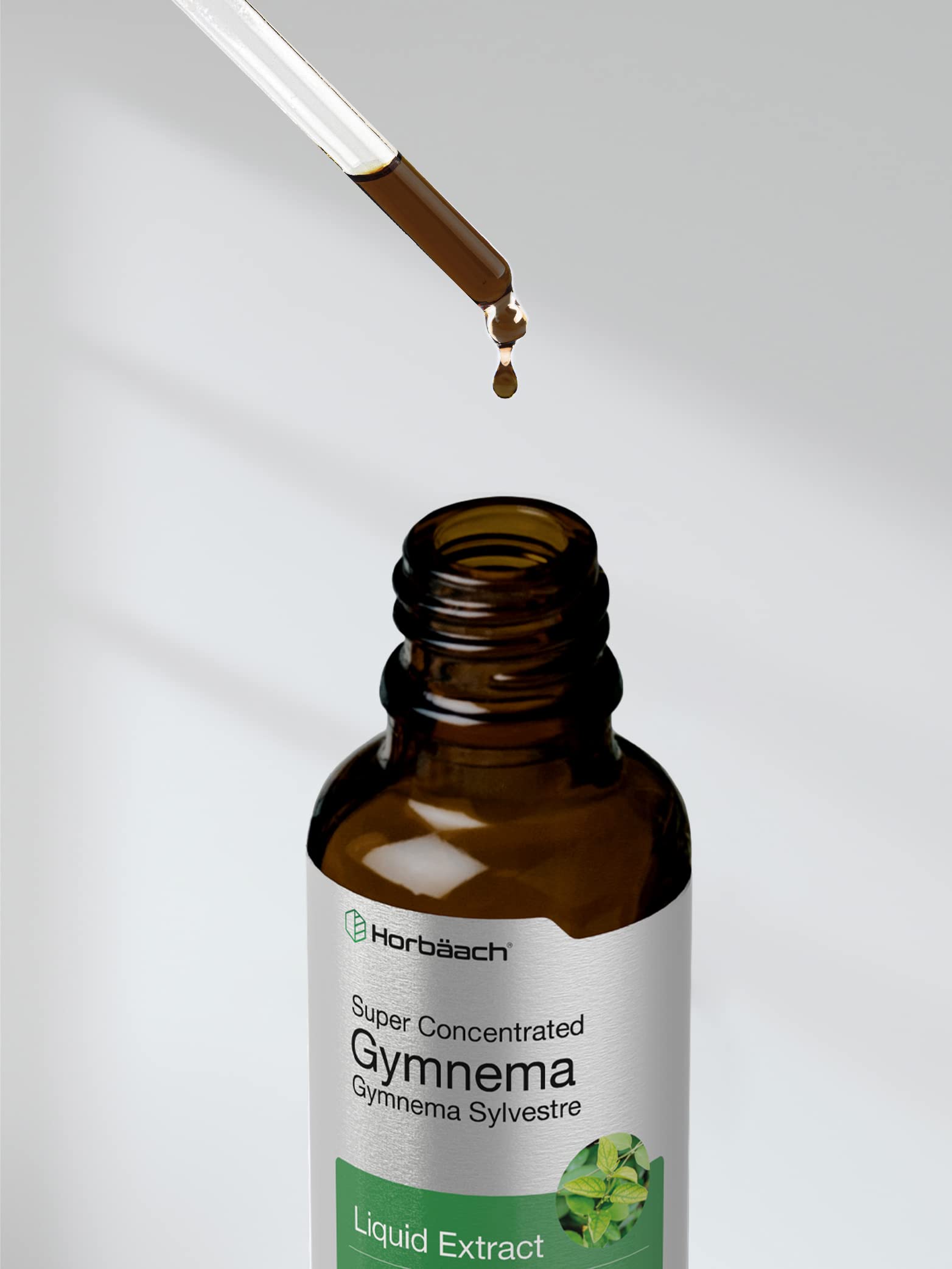 Gymnema Sylvestre Liquid | 2 fl oz | Alcohol Free Supplement | Super Concentrated Horbäach buy supplements canada