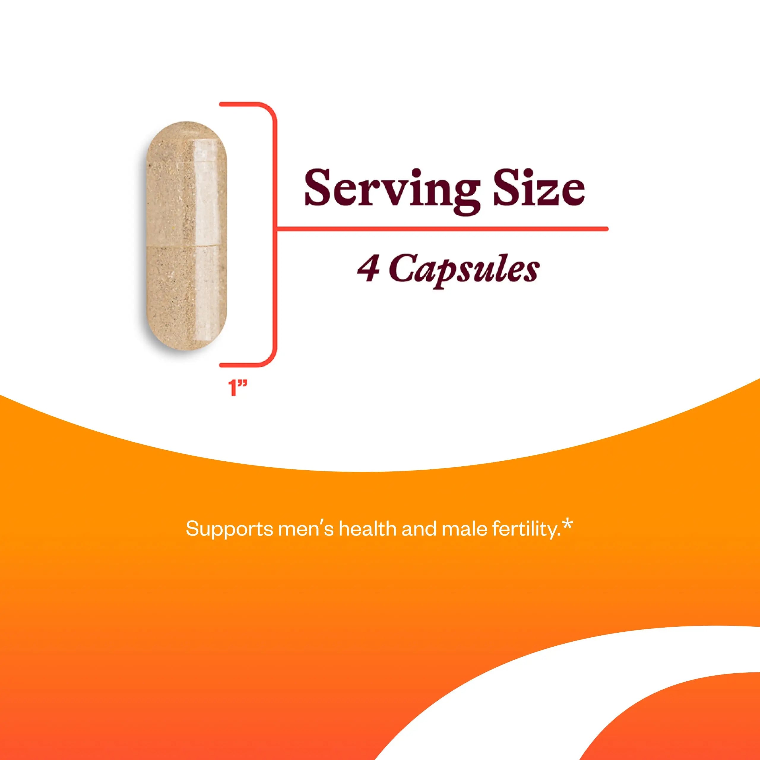 Seeking Health Optimal Man - Multivitamin Supplement with Zinc, Active Folate, & Alpha-Lipoic Acid - Multivitamin Supports Energy & Brain Health - Support Healthy Aging Seeking Health buy supplements canada