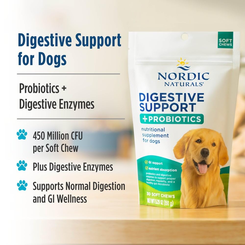 Nordic Naturals Pet Digestive Support with Probiotics, Pork Bone Broth Flavor - 30 Soft Chews - Nutritional Supplement for a Healthy Digestive System and GI Support - 30 Non-GMO Chews Nordic Naturals buy supplements canada