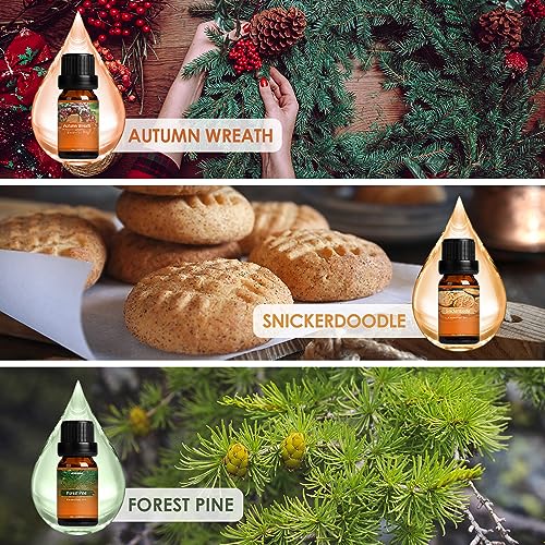 Autumn Fragrance Oil Set, Premium Fall Essential Oils for Diffuser and Candle Making -Cinnamon ARVIDSSON buy supplements canada