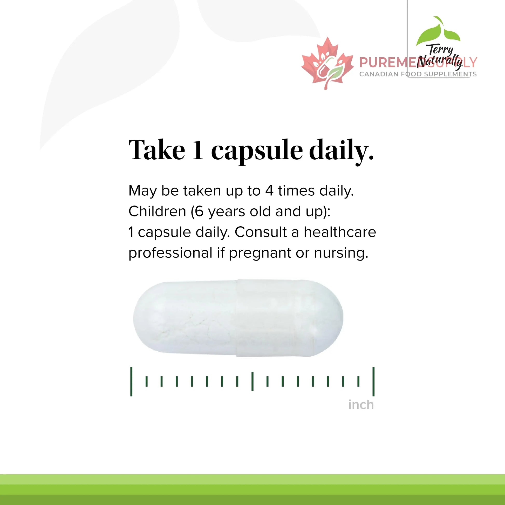 Terry Naturally BioActive Magnesium Complex - Bone & Heart Health Support - Supplement with Vitamin B6, Zinc & Magnesium - Pyridoxal-5-Phosphate Vegan Capsule Supplement - 120 Capsules Terry Naturally buy supplements canada
