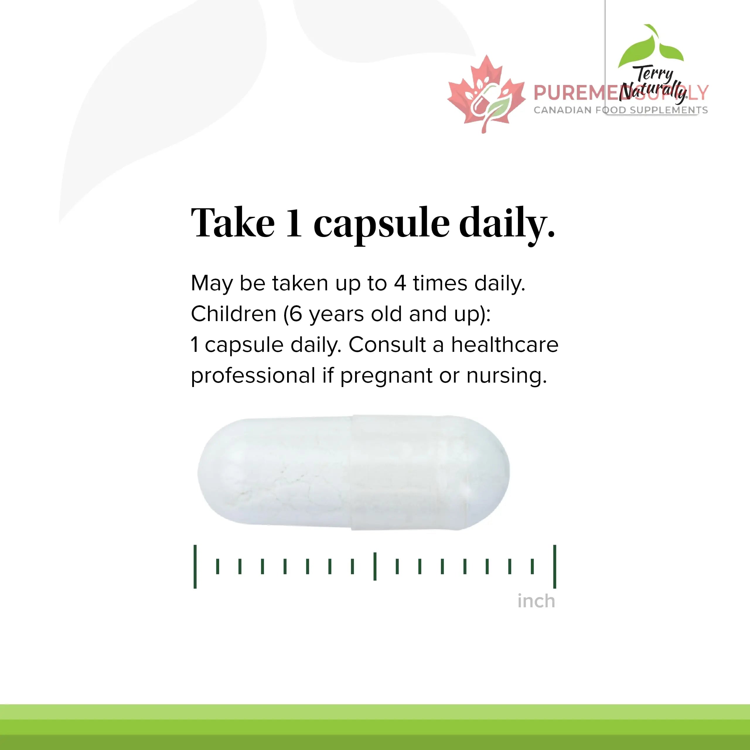 Terry Naturally BioActive Magnesium Complex - Bone & Heart Health Support - Supplement with Vitamin B6, Zinc & Magnesium - Pyridoxal-5-Phosphate Vegan Capsule Supplement - 120 Capsules Terry Naturally buy supplements canada