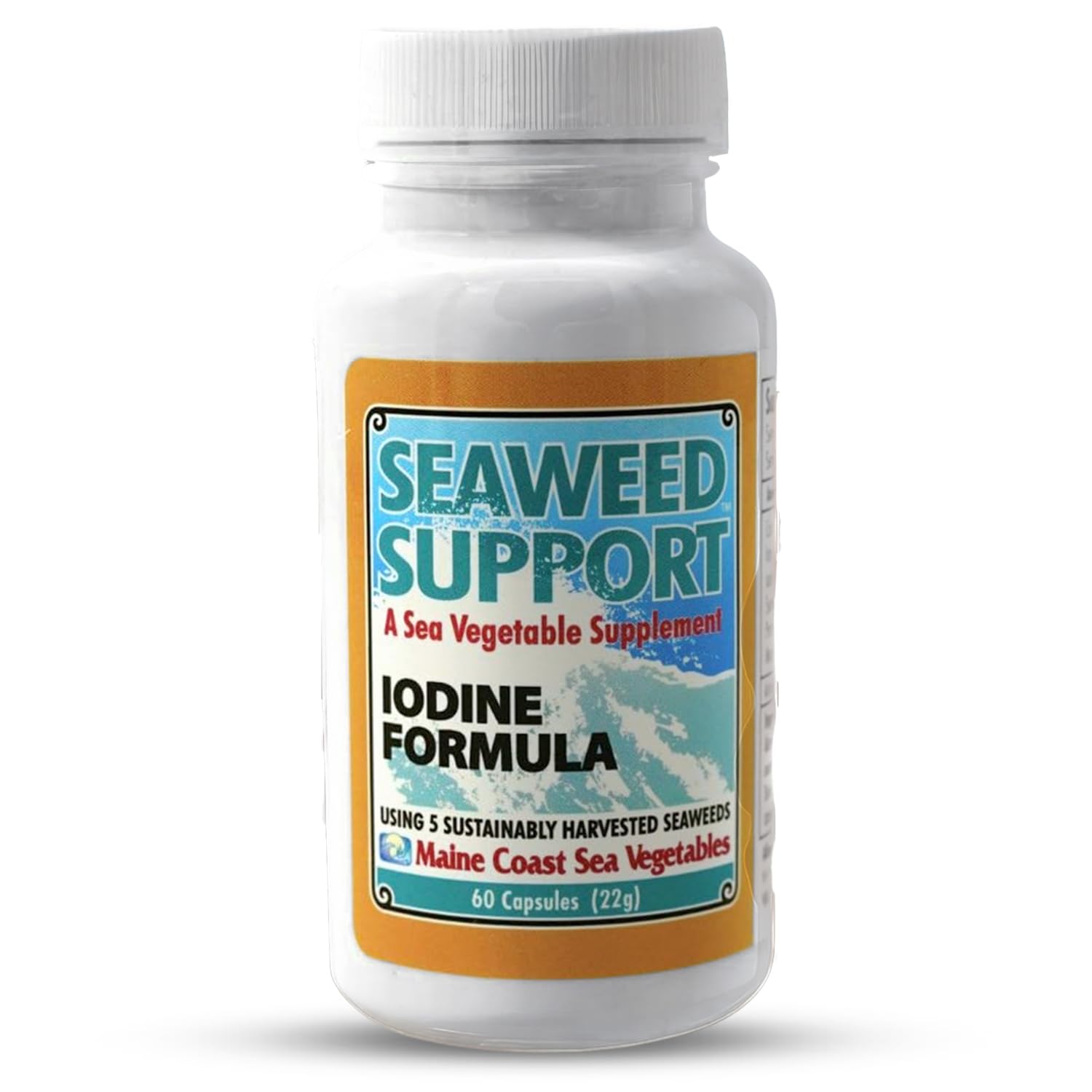 Maine Coast Sea Vegetables Seaweed Support Iodine Formula | Source of Iodine from Seaweed | Daily Use Iodine Supplement | Organic Alaria, Rockweed, Sea Lettuce, Dulse & Bladderwrack blend | 60 Capsule Maine Coast Sea Vegetables buy supplements canada