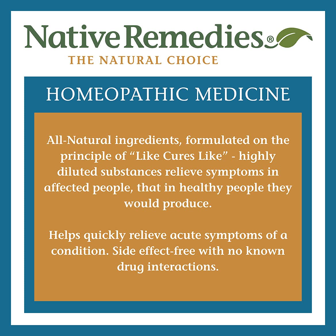 Native Remedies Kidney Stone Clear - Natural Homeopathic Formula Temporarily Helps Dissolve and Clear Kidney Stones - Relieves Pain, Nausea and Vomiting - 59 mL Native Remedies buy supplements canada