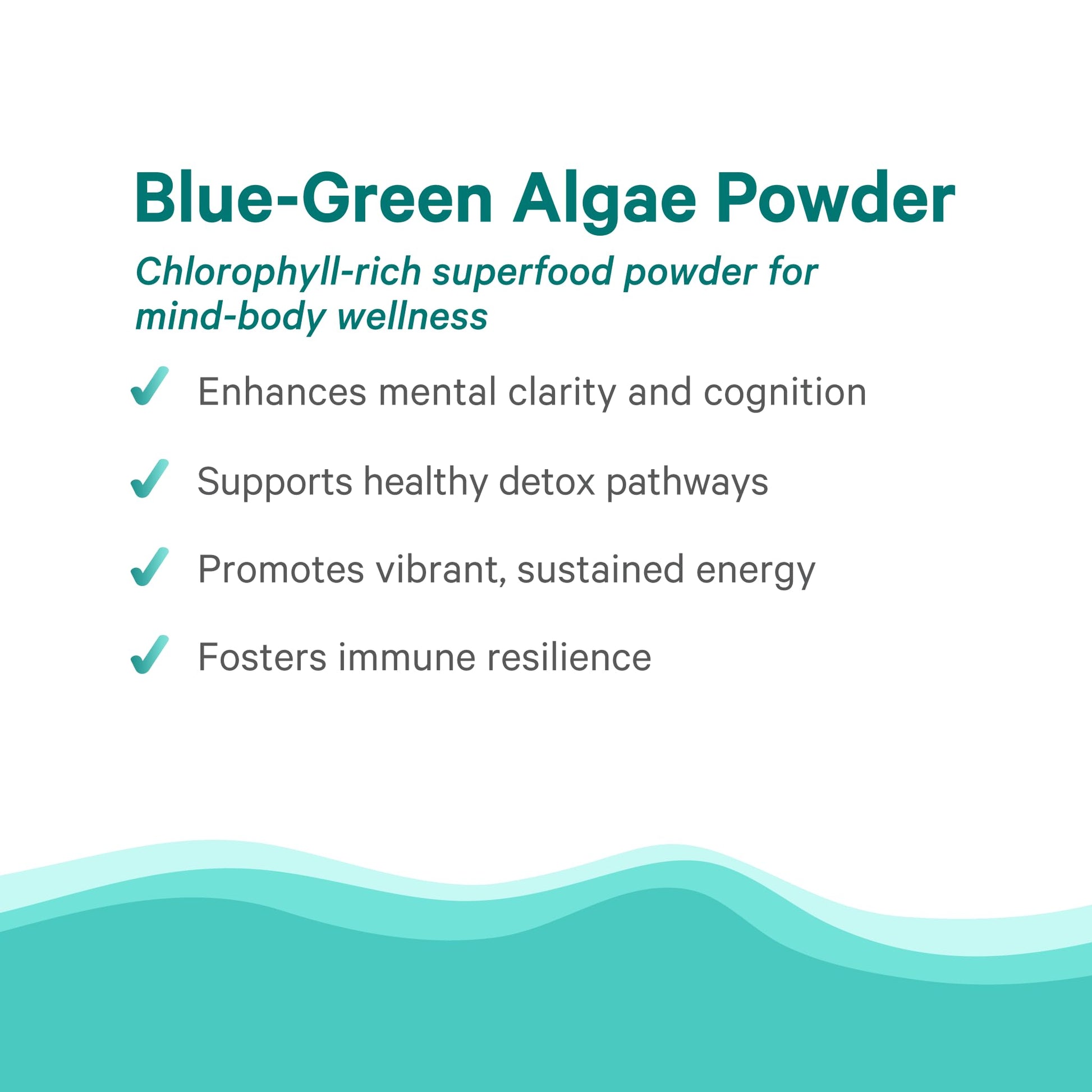 PURE SYNERGY Blue-Green Algae Powder | Superfood Powder with Chlorophyll | Organic AFA Blue Green Algae Supplement | Supports Energy, Mental Clarity, and Detoxification (3.2 oz.) PURE SYNERGY buy supplements canada