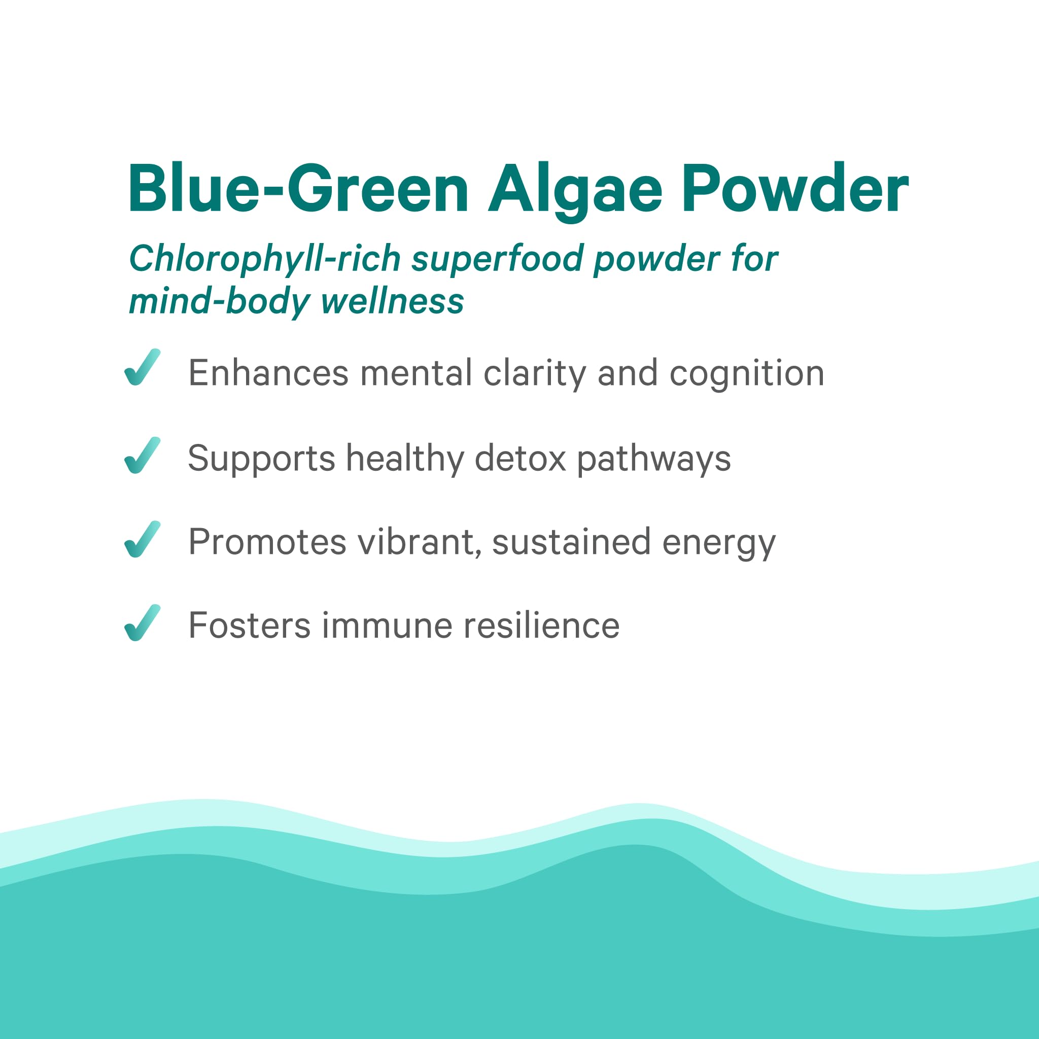 PURE SYNERGY Blue-Green Algae Powder | Superfood Powder with Chlorophyll | Organic AFA Blue Green Algae Supplement | Supports Energy, Mental Clarity, and Detoxification (3.2 oz.) PURE SYNERGY buy supplements canada