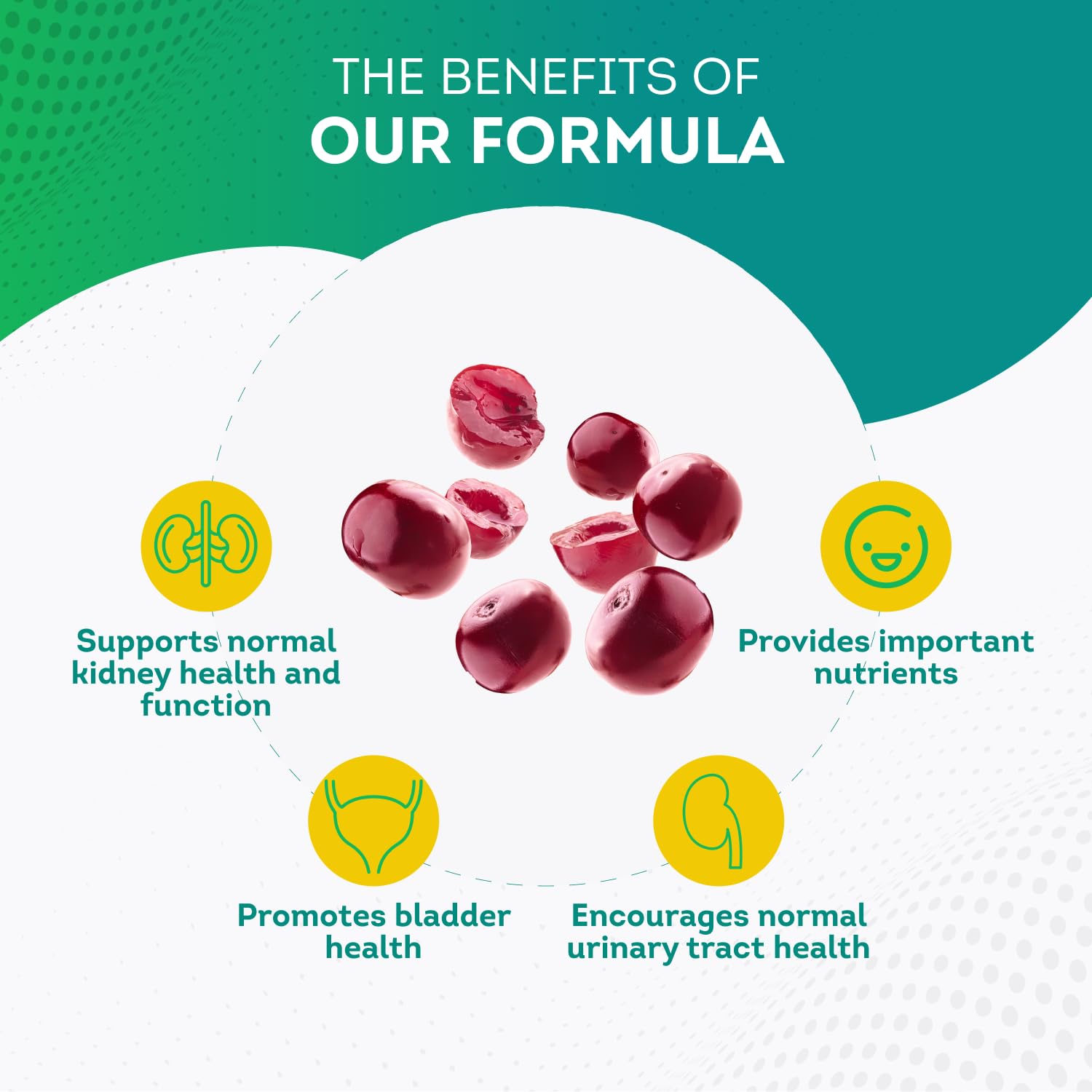 PurePremium Kidney Support Supplement with Cranberry Extract - Kidney Cleanse, Detox PurePremium Supplements buy supplements canada