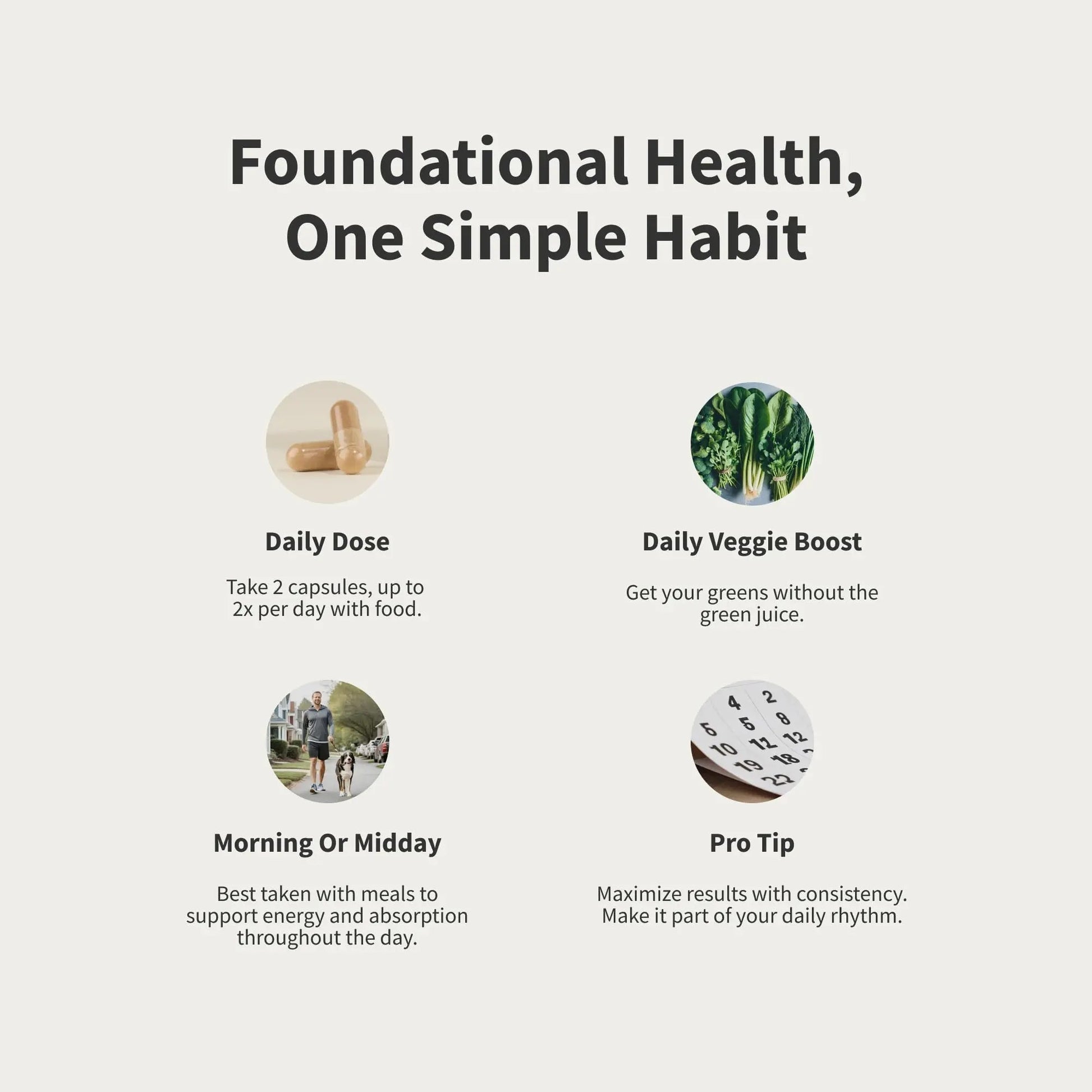 Snap Supplements Men's Multivitamins - Daily Vitamins & Minerals for Men - Vitamin D, B12, Zinc, Herbs & Vitamin C Snap Supplements buy supplements canada
