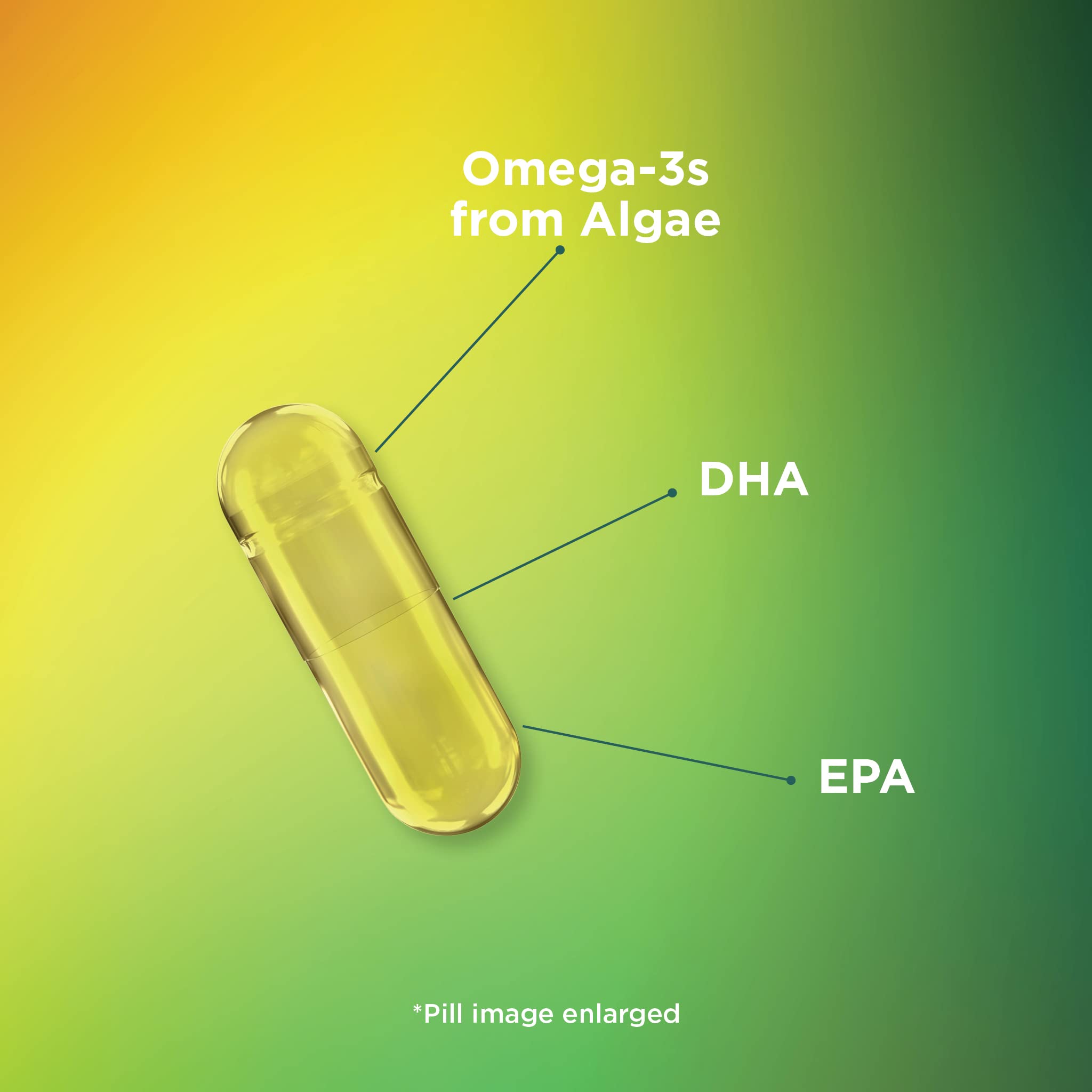 Theralogix PhytoLife Omega - 90-Day Supply - Vegan Algae Omega-3 Supplement Theralogix buy supplements canada