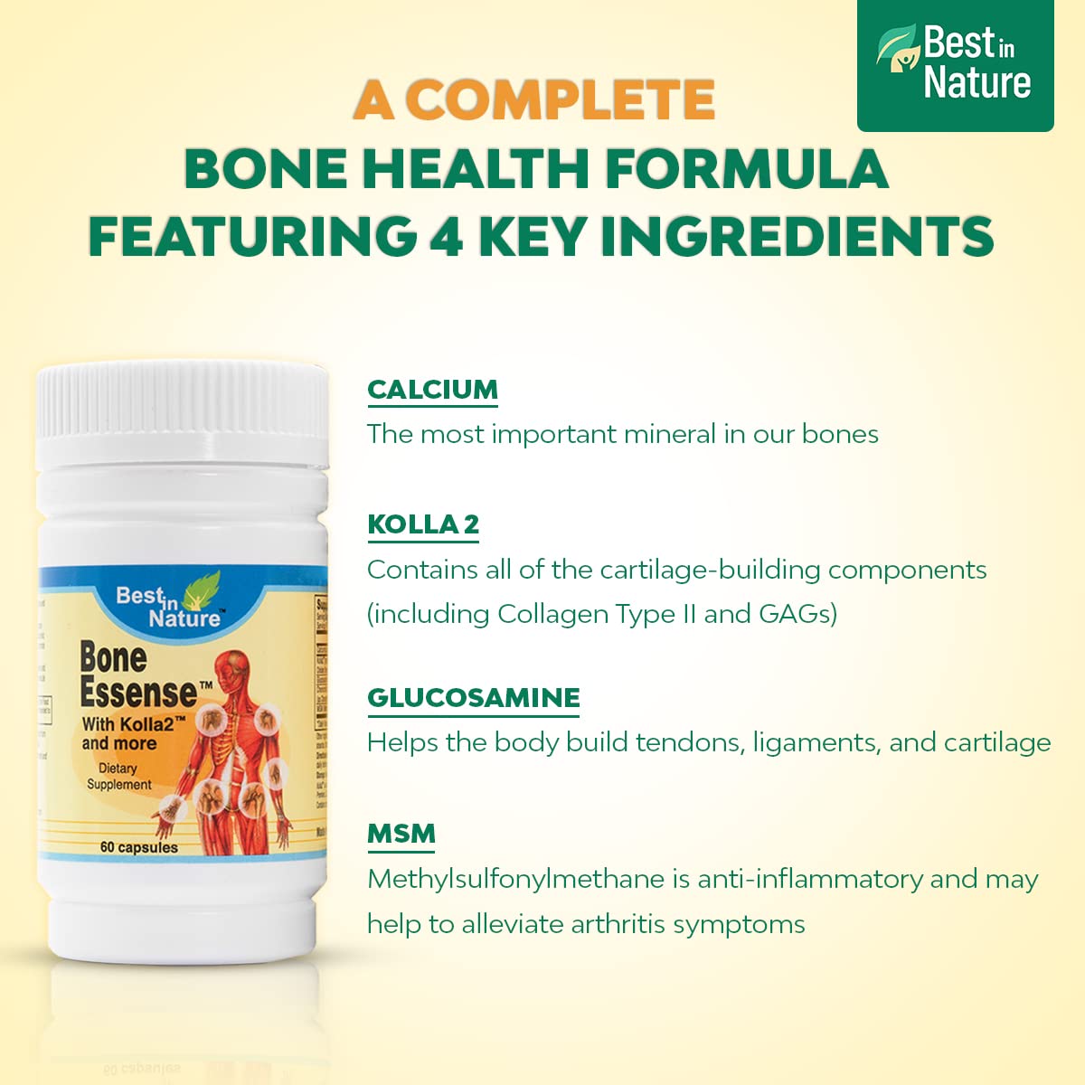 Best in Nature Bone Essense with Kolla2 (Type II Collagen) - Bone and Joint Health Supplement. (60 Count) Best in Nature buy supplements canada