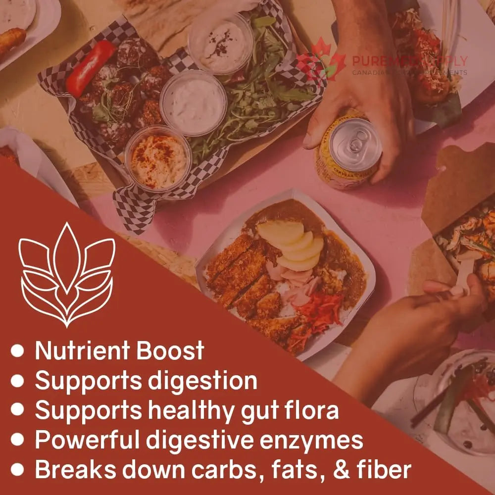 Belly Buddy Advanced Gut Health Support containing a helthy Blend of Probiotics, Prebiotics, and Digestive Enzymes OWL Balance buy supplements canada