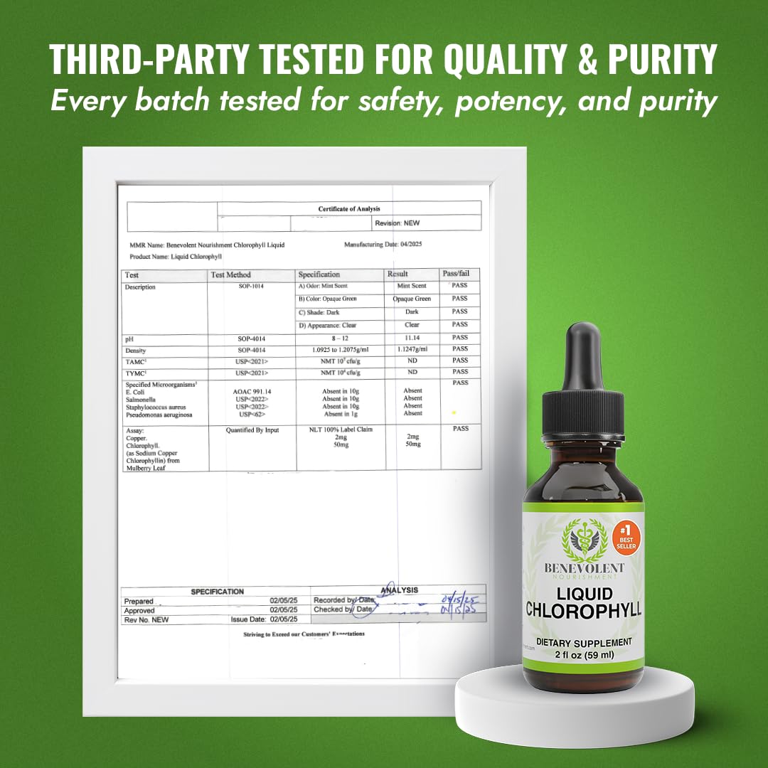 Benevolent Nourishment Chlorophyll Supplement, Detox & Immune Support, Internal Deodorizer, Liquid Drops Benevolent Nourishment buy supplements canada