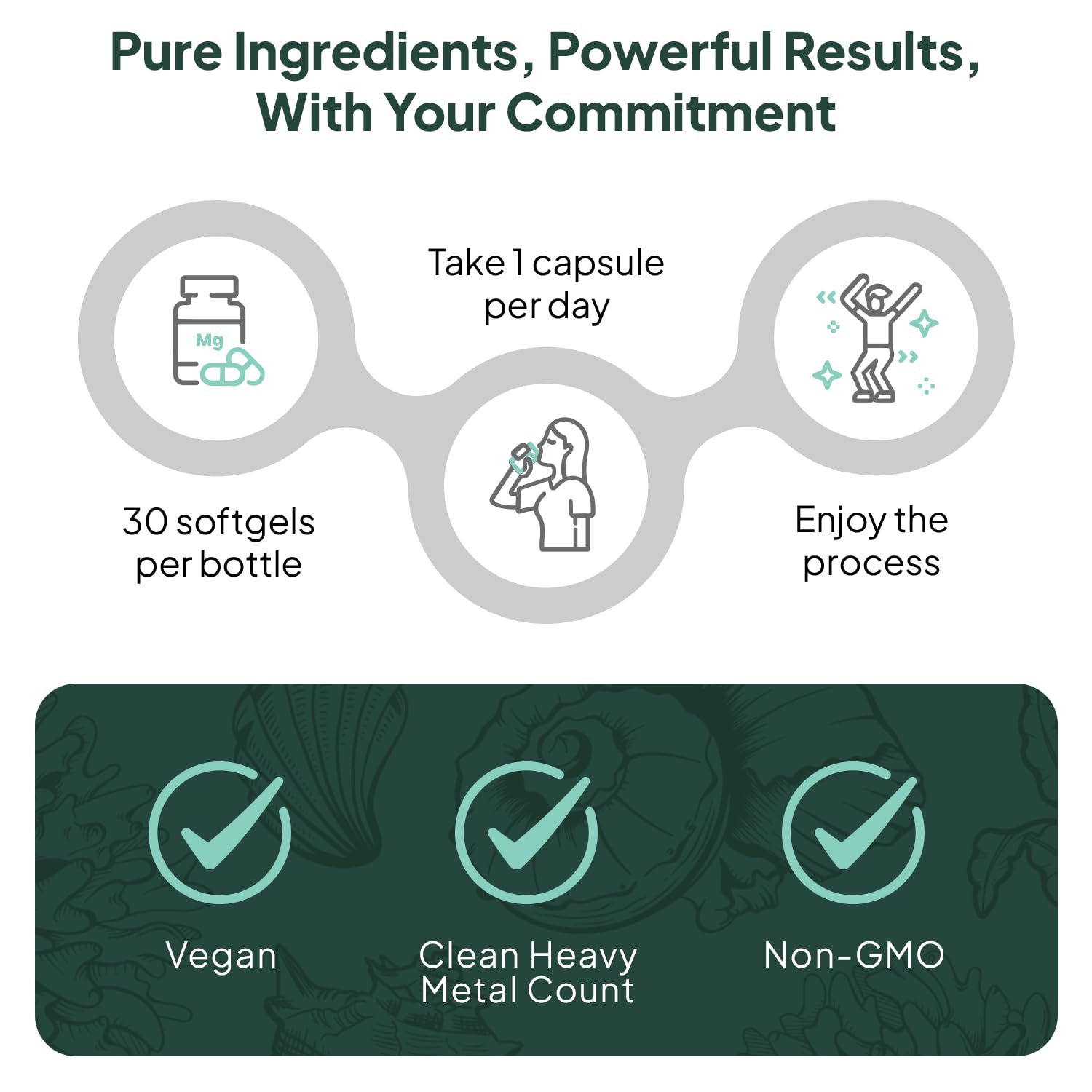 Organics Ocean Better D3 + K2-100% Organic VIT D3 and K2 Supplements with Maximum Bioavailability - Supports Bone Density, Calcium Balance Organics Ocean buy supplements canada