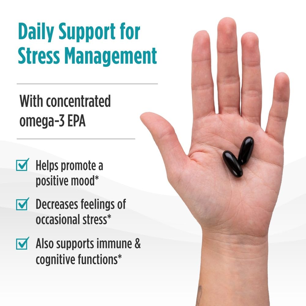 Nordic Naturals Mood Support Omega Blend - Unflavored - 60 Soft Gels - 1400 mg Omega-3 Supplement with EPA & DHA - Promotes Balanced Mood and Serenity - Non-GMO - 30 Servings Nordic Naturals buy supplements canada