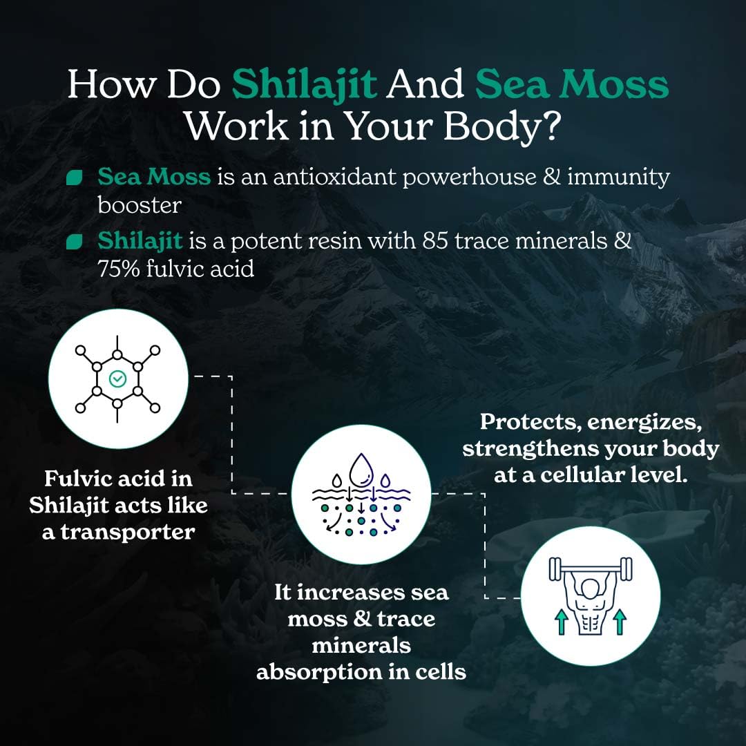 Better Alt Shilajit Sea Moss Capsules Pack of 2 with Ashwagandha & Black Pepper Extract with 85+ Essential Minerals & Antioxidants| Boosts Energy & Metabolism - 120 Servings, 240 Capsules Better Alt buy supplements canada