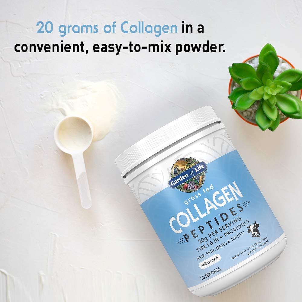Garden of Life Grass Fed Collagen Peptides Powder Unflavored Collagen Powder for Women Men Hair Skin Nails Joints, Hydrolyzed Collagen Protein Supplements, Collagen for Women & Men, 28 Servings Garden of Life buy supplements canada