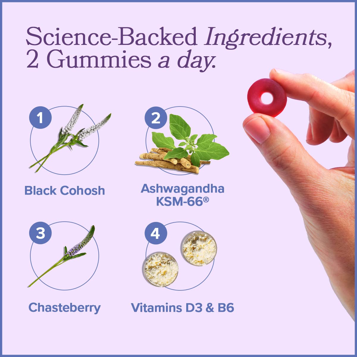 MENO Gummies for Menopause, 30 Servings (Pack of 2) - Hormone-Free Menopause O Positiv buy supplements canada