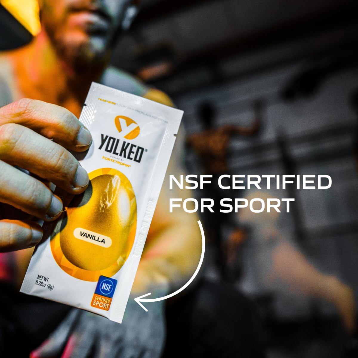 YOLKED - NSF-Certified Muscle Building Supplement - Help Increase Lean Muscle, Reduce Muscle Loss, and Improve Recovery with Fortetropin, 30 Servings YOLKED buy supplements canada