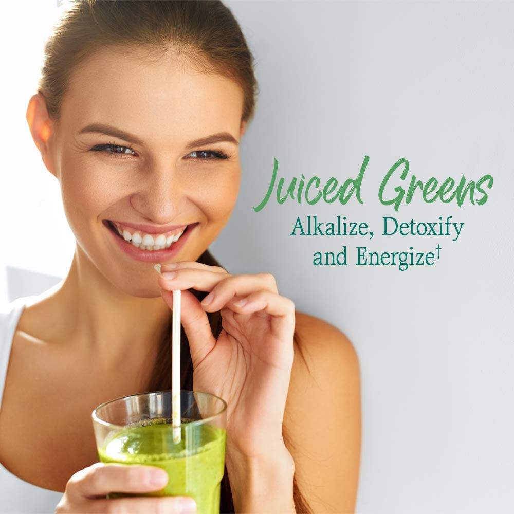 Garden of Life Raw Organic Perfect Food Alkalizer & Detoxifier Juiced Greens Superfood Garden of Life buy supplements canada