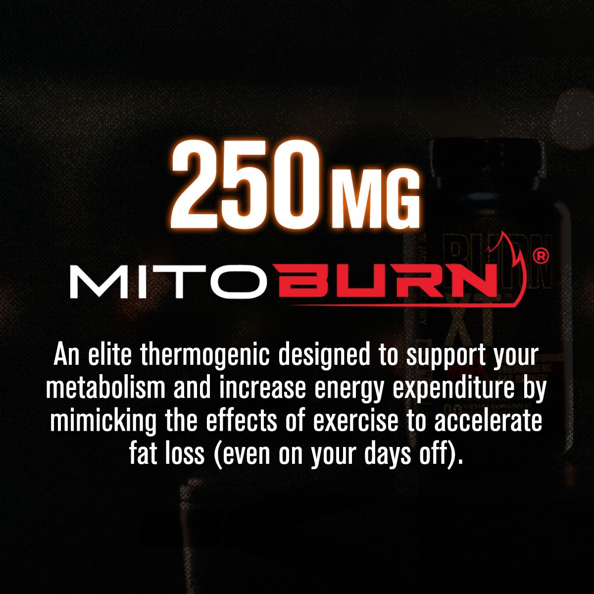Jacked Factory Burn-XT Max - High-Performance Thermogenic Fat Burner & Appetite Suppressant for Weight Loss w/PurCaf Organic Caffeine, MitoBurn, Green Tea Jacked Factory buy supplements canada